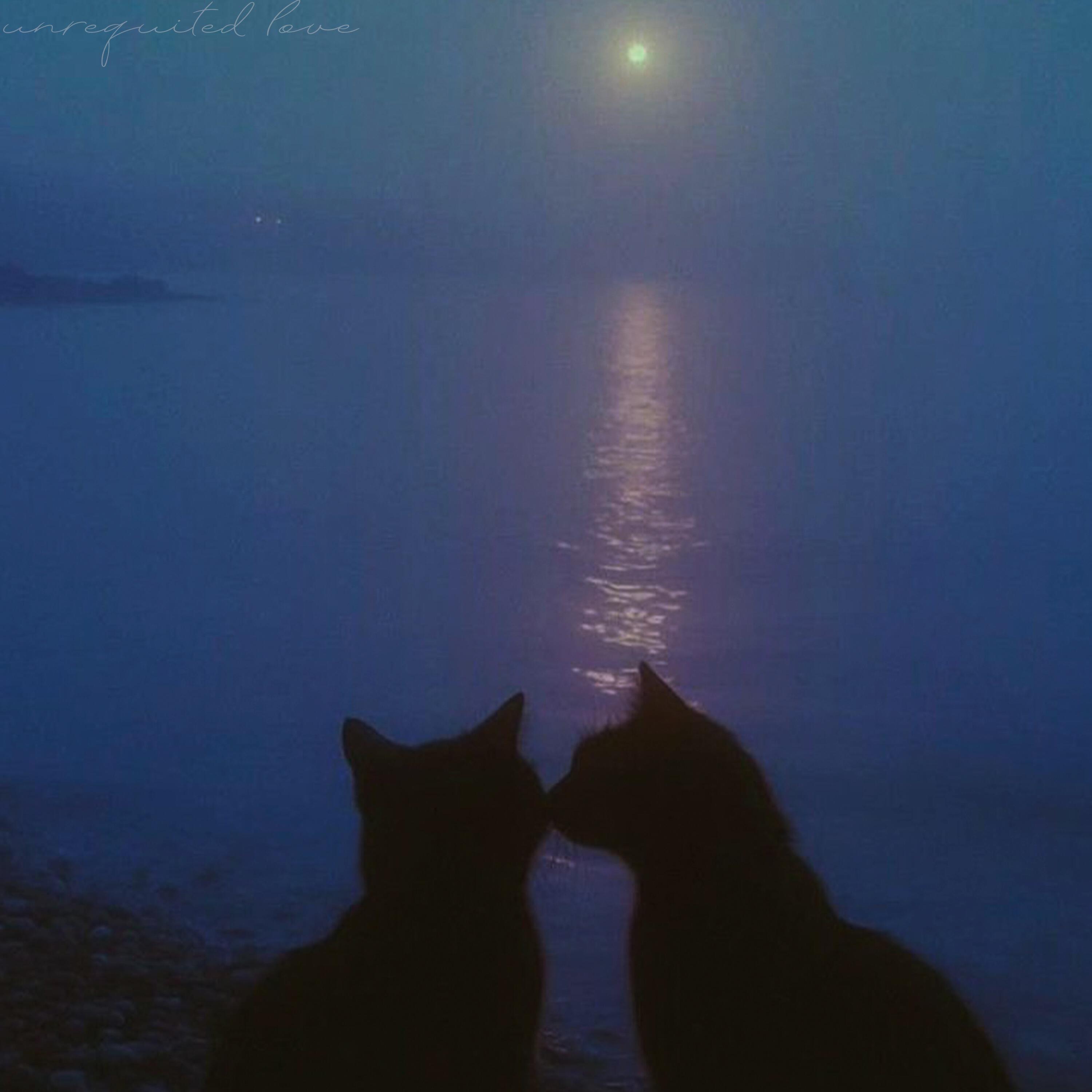 ambient.wav
