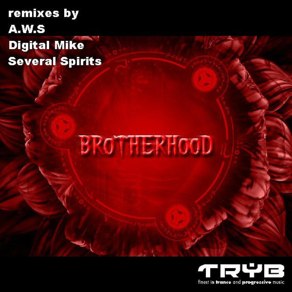 Релиз Brotherhood