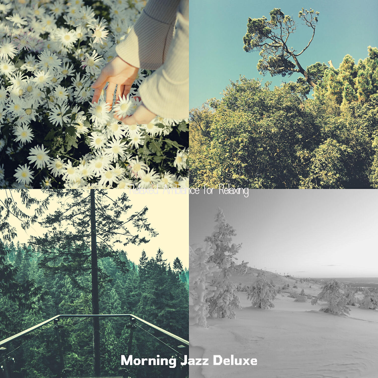 Релиз Relaxed Ambiance for Relaxing