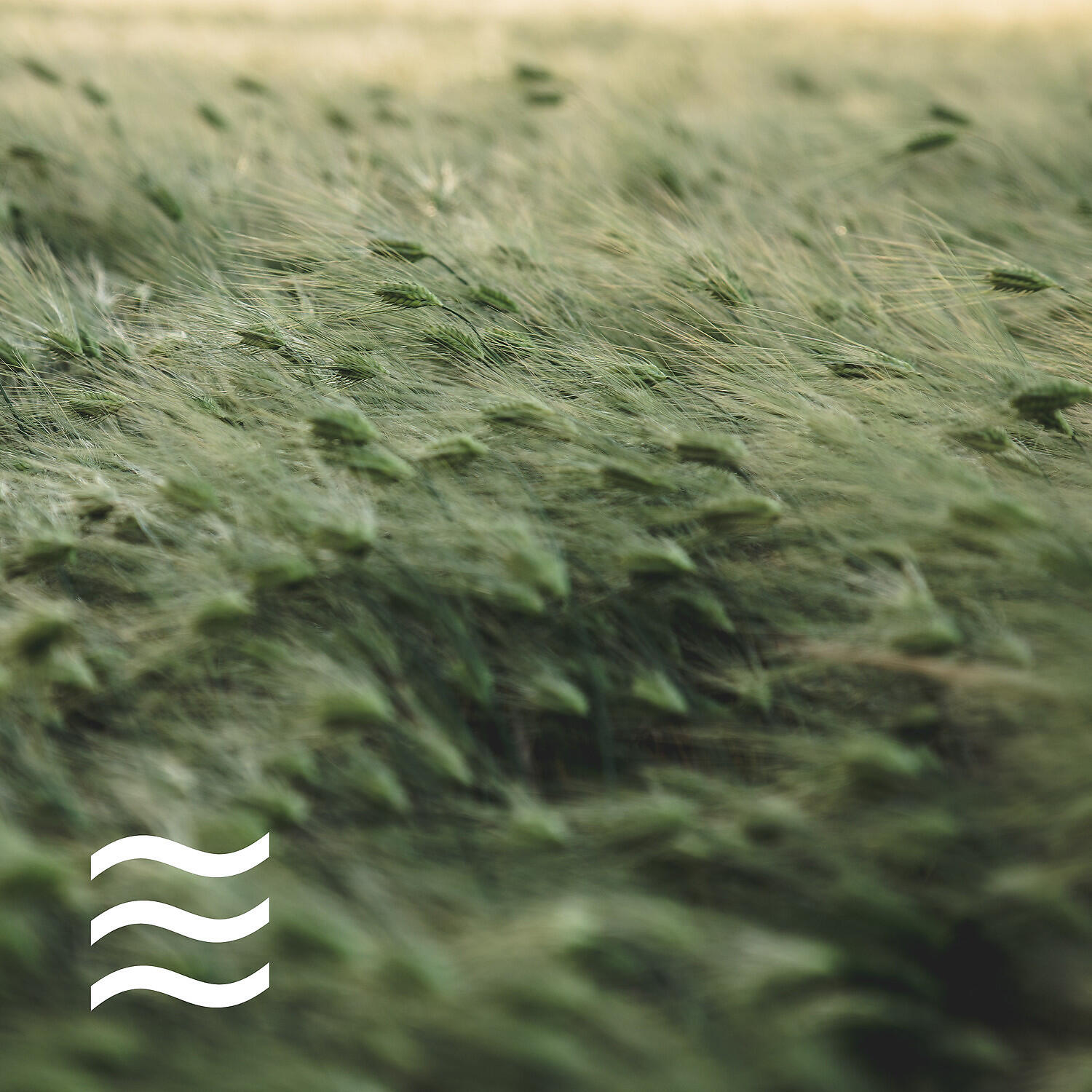 Трек Sleeping Soft Smooth Forest Shusher