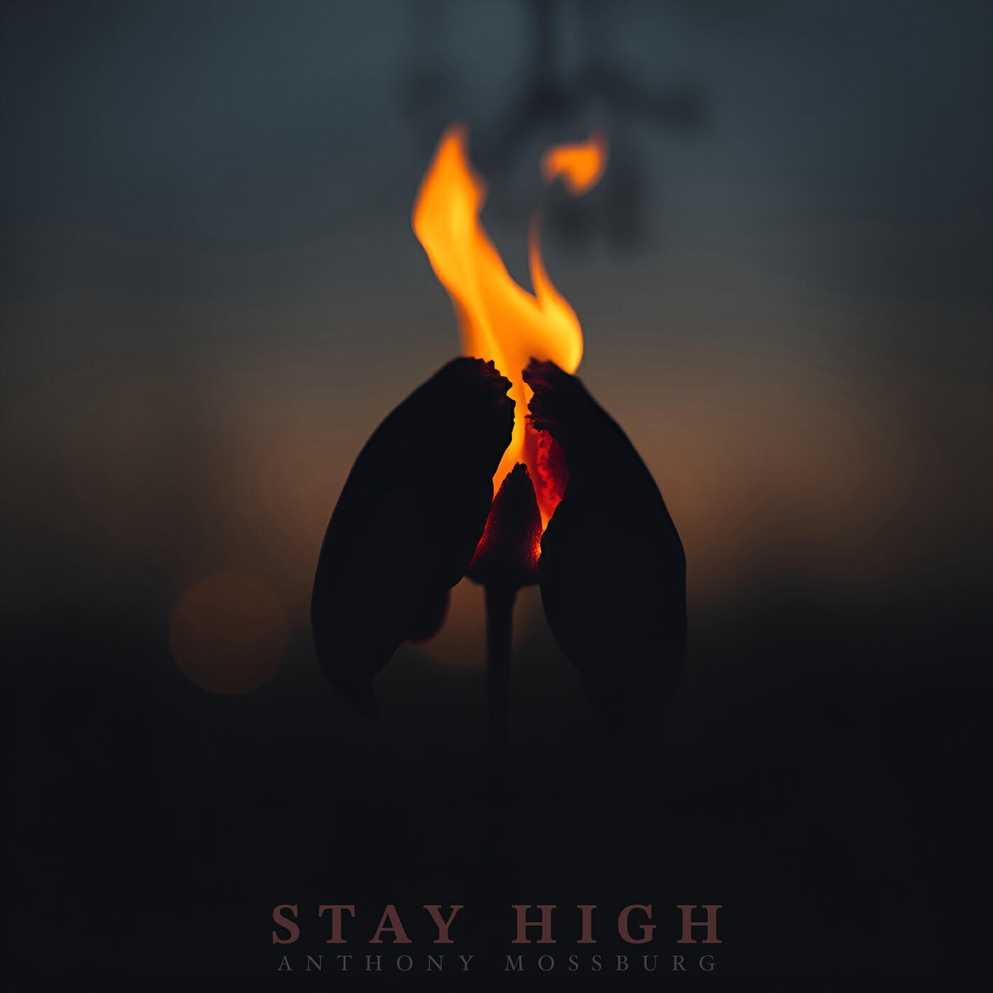 Релиз Stay High