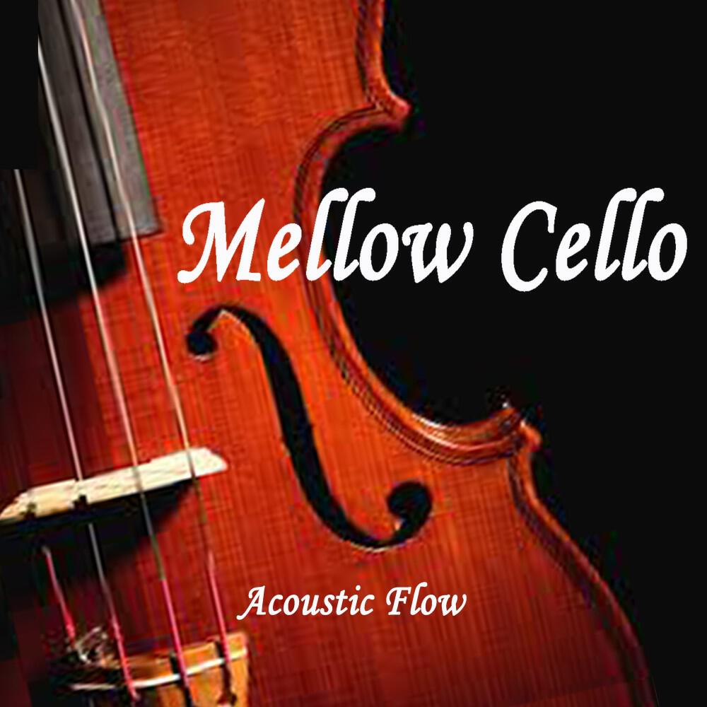 Релиз Acoustic Flow