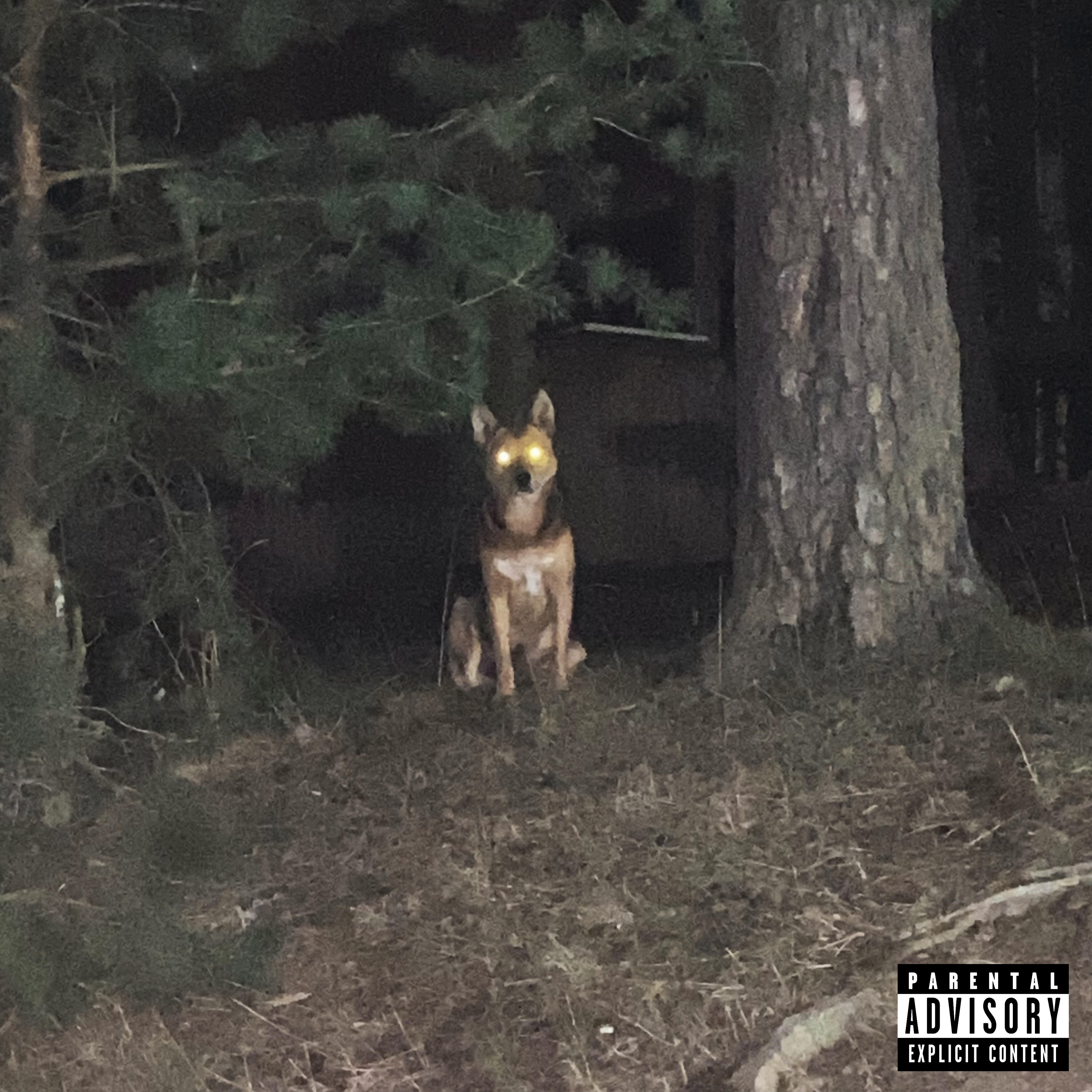 Релиз Forester