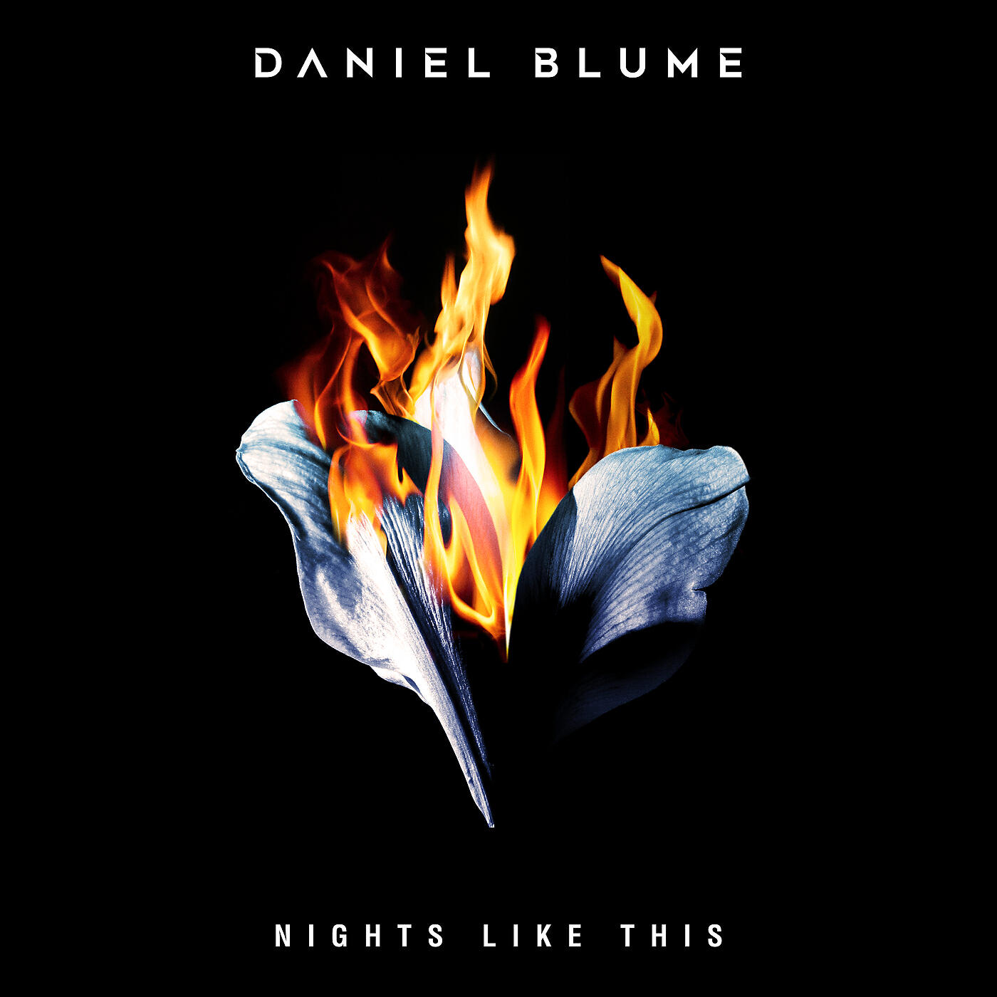 Релиз Nights Like This