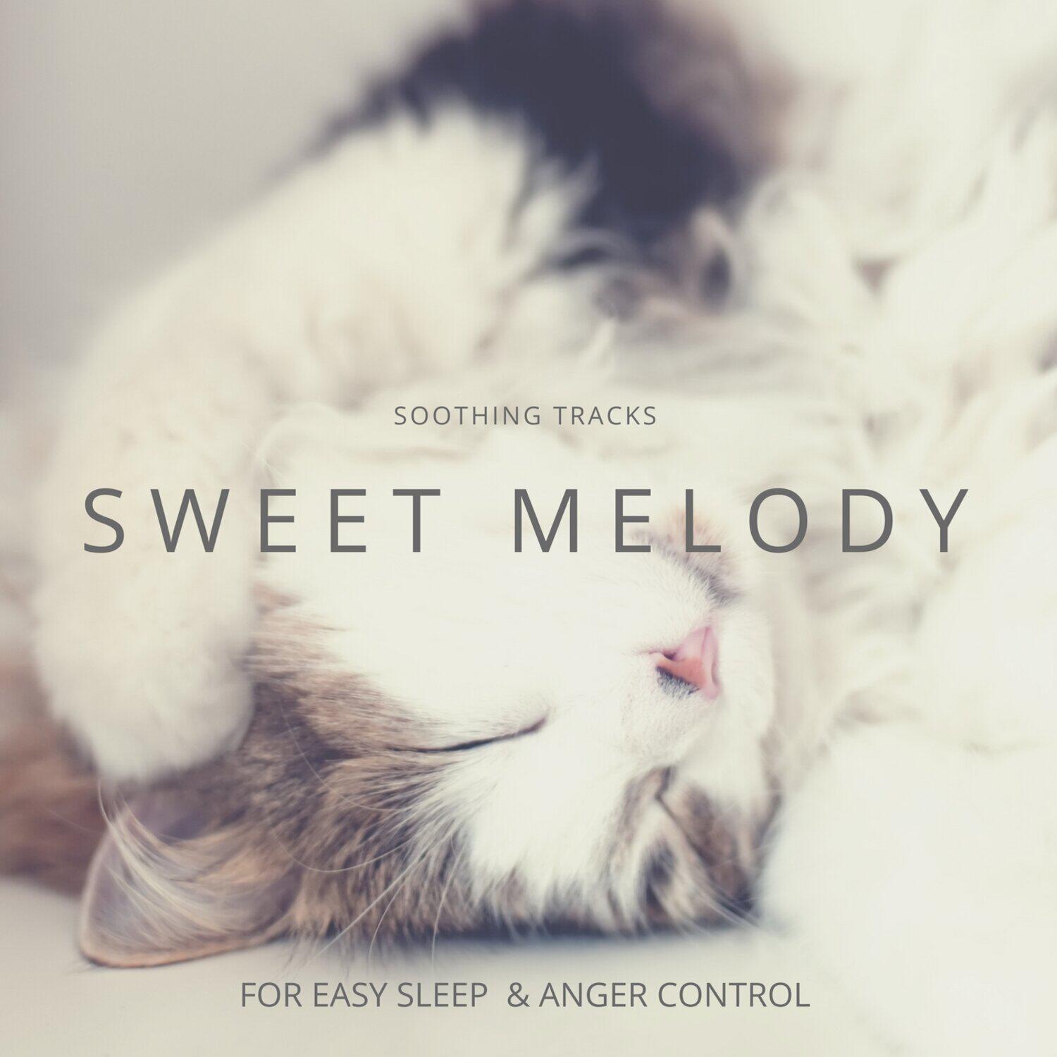 Постер альбома Sweet Melody - Soothing Tracks for Easy Sleep & Anger Control