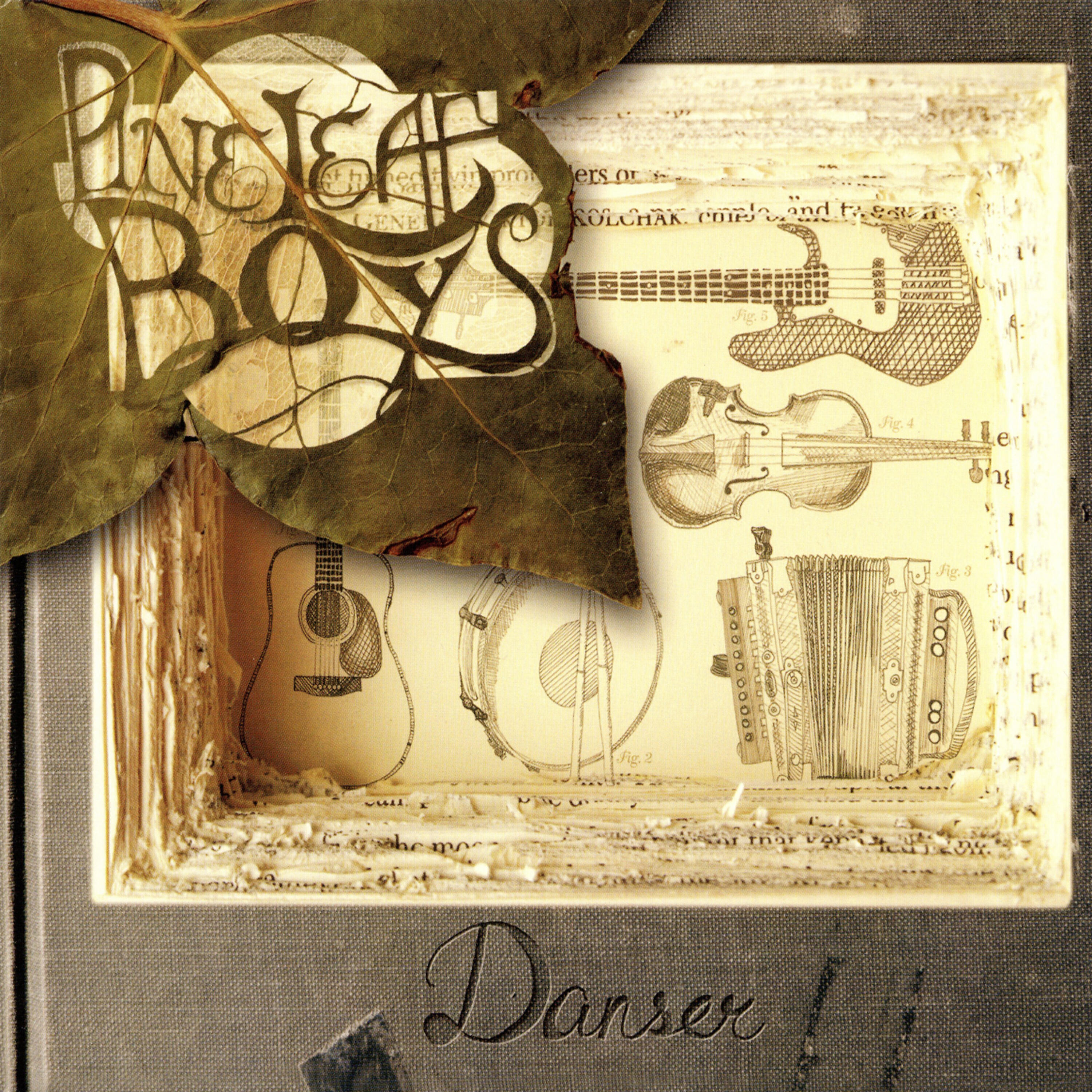 Релиз Danser