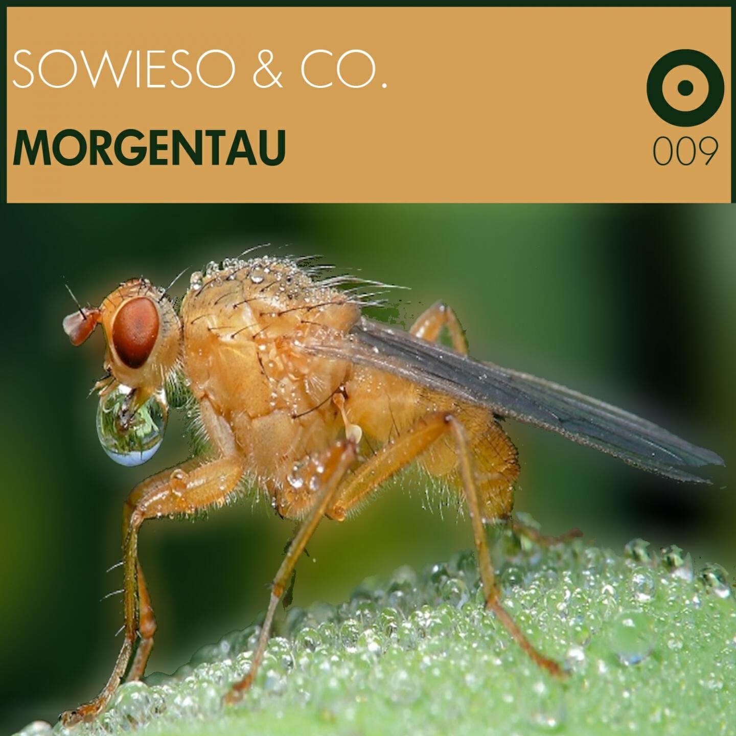 Релиз Morgentau