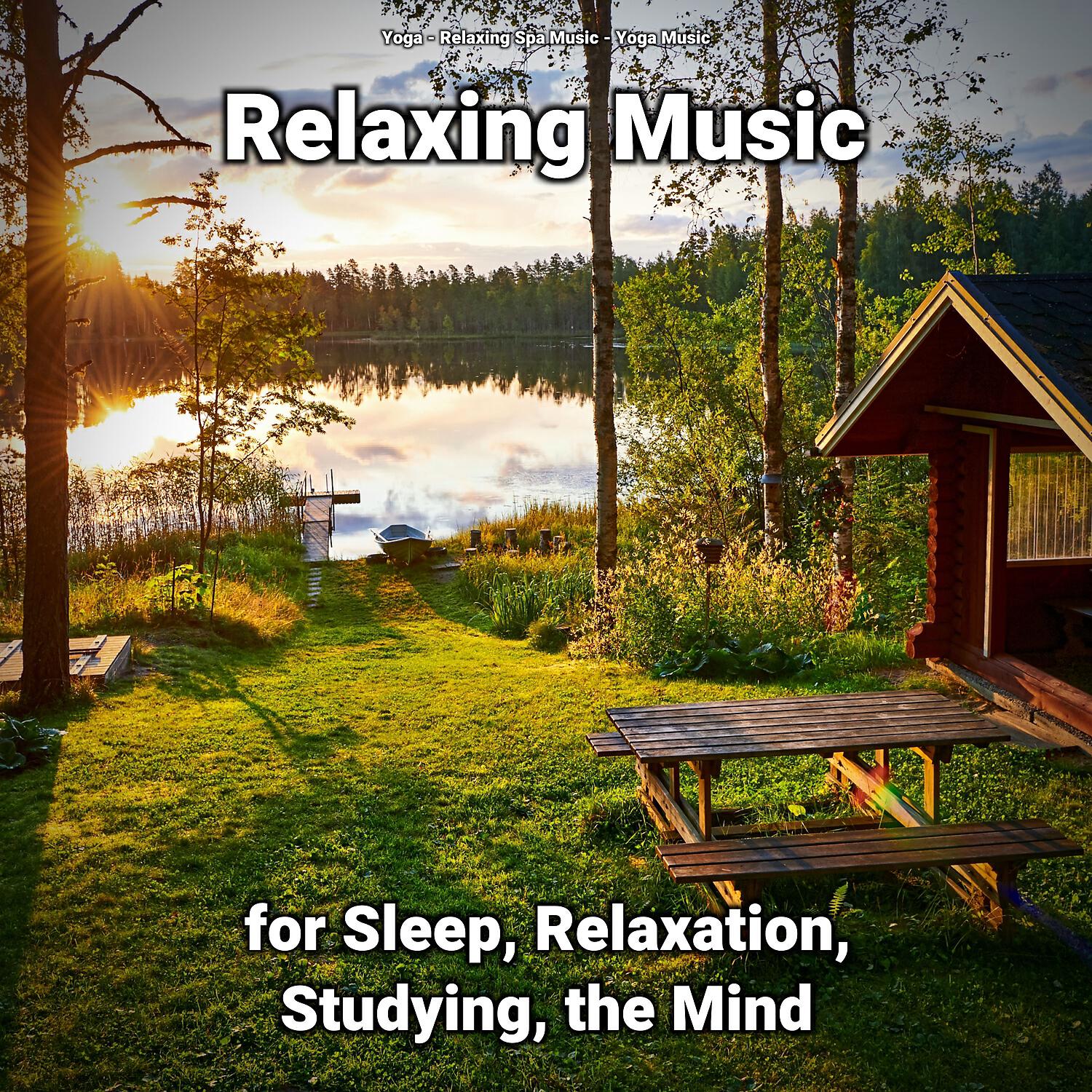 Постер альбома Relaxing Music for Sleep, Relaxation, Studying, the Mind
