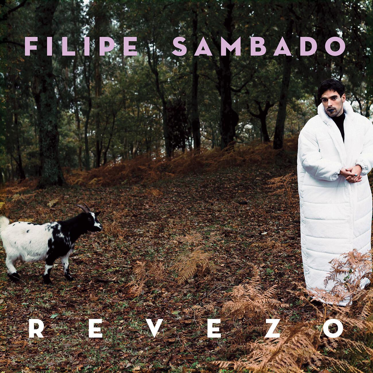 Релиз Revezo