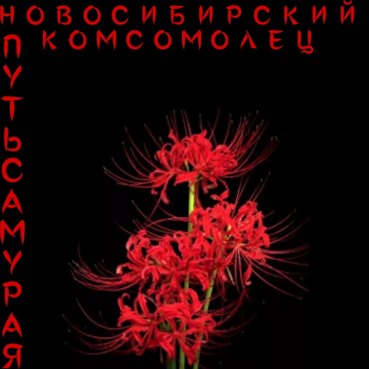 Релиз Путь самурая
