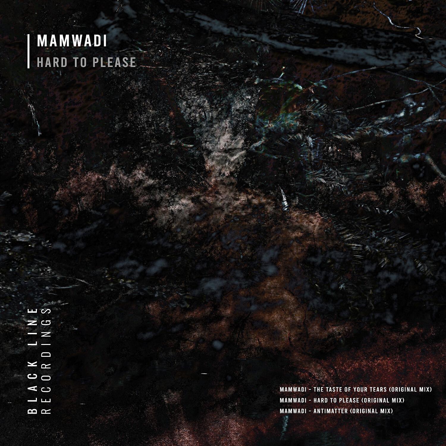 Релиз Hard to Please