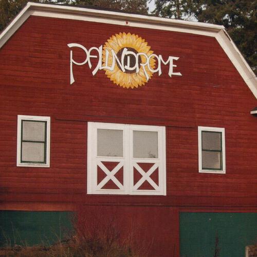 Релиз Palindrome