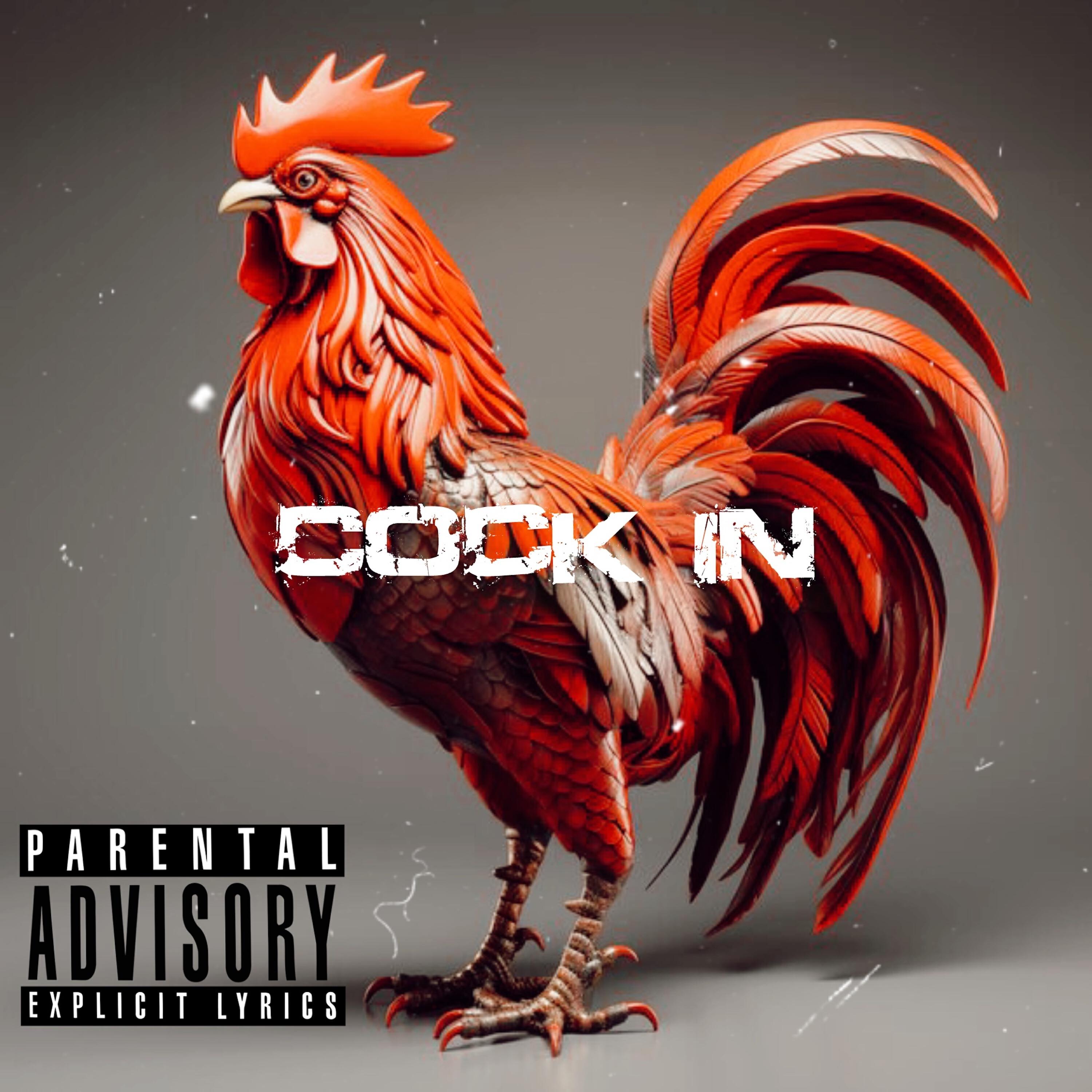 Релиз Cock In