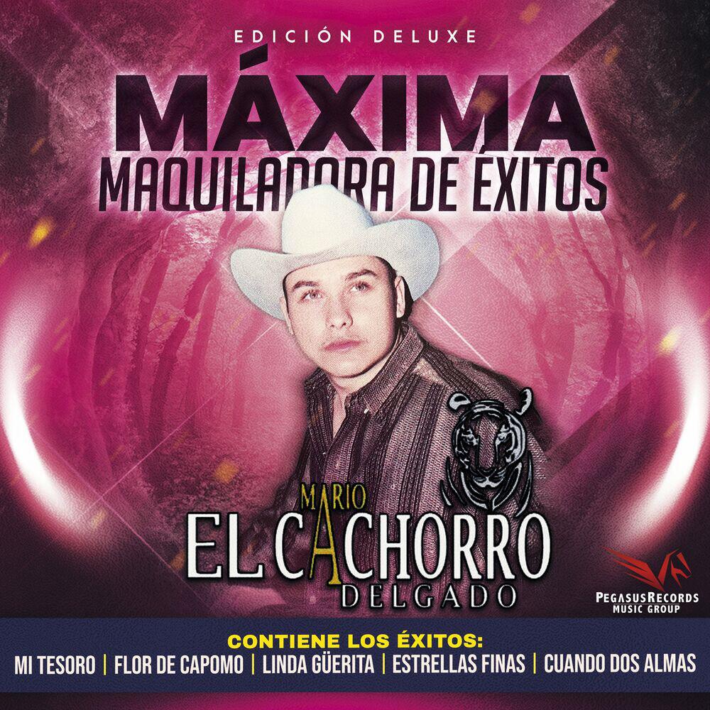 Релиз Edicion Deluxe Maxima Maquiladora De Exitos