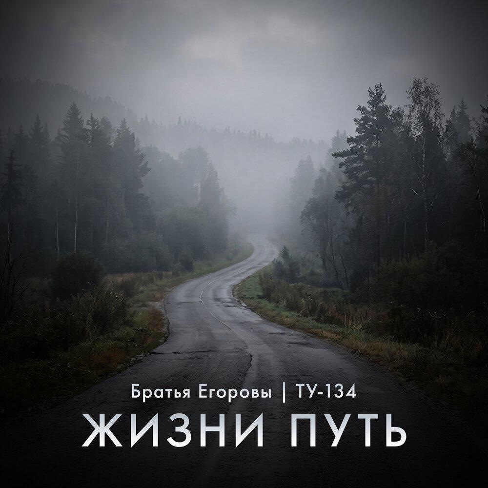 Релиз Жизни путь
