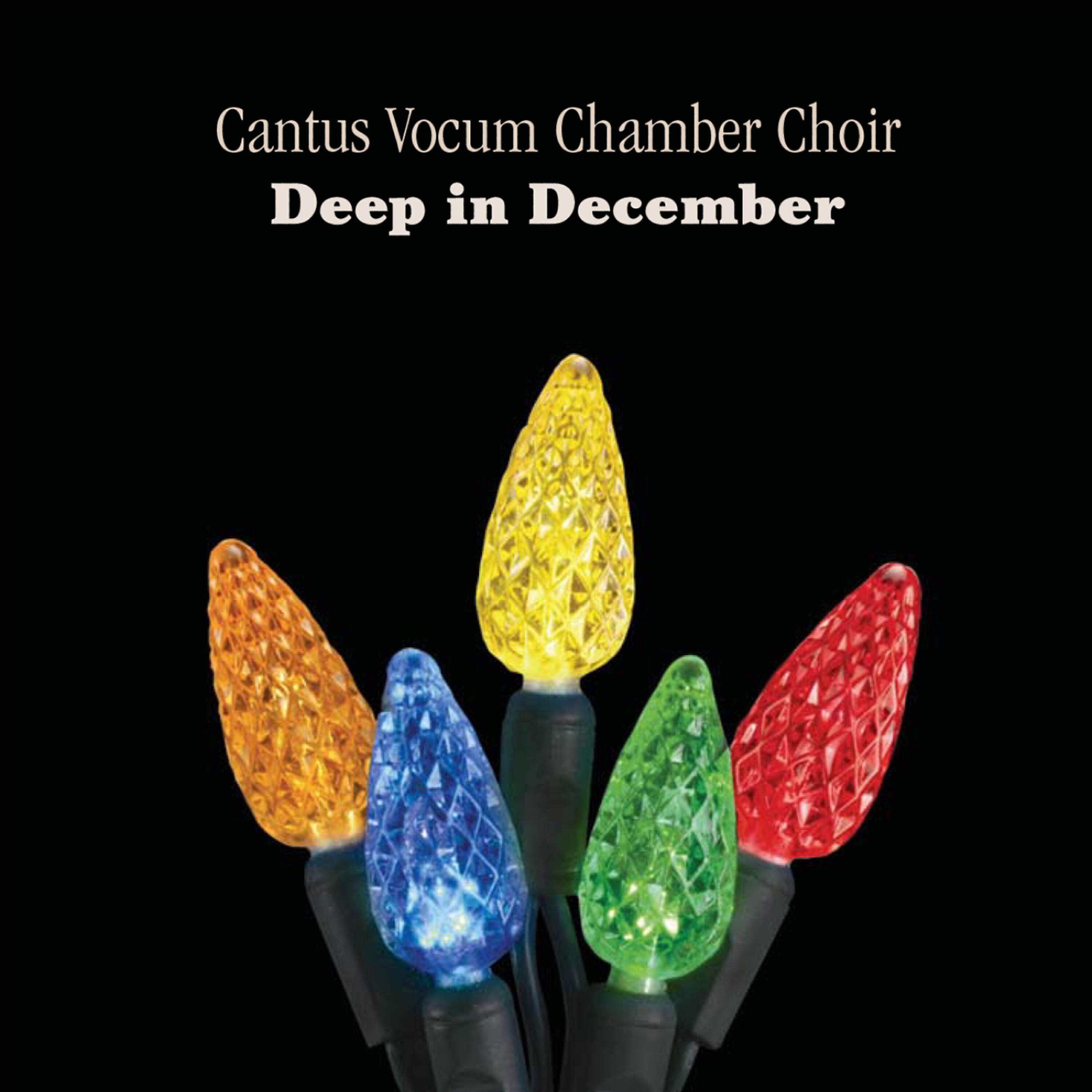 Cantus Vocum Chamber Choir