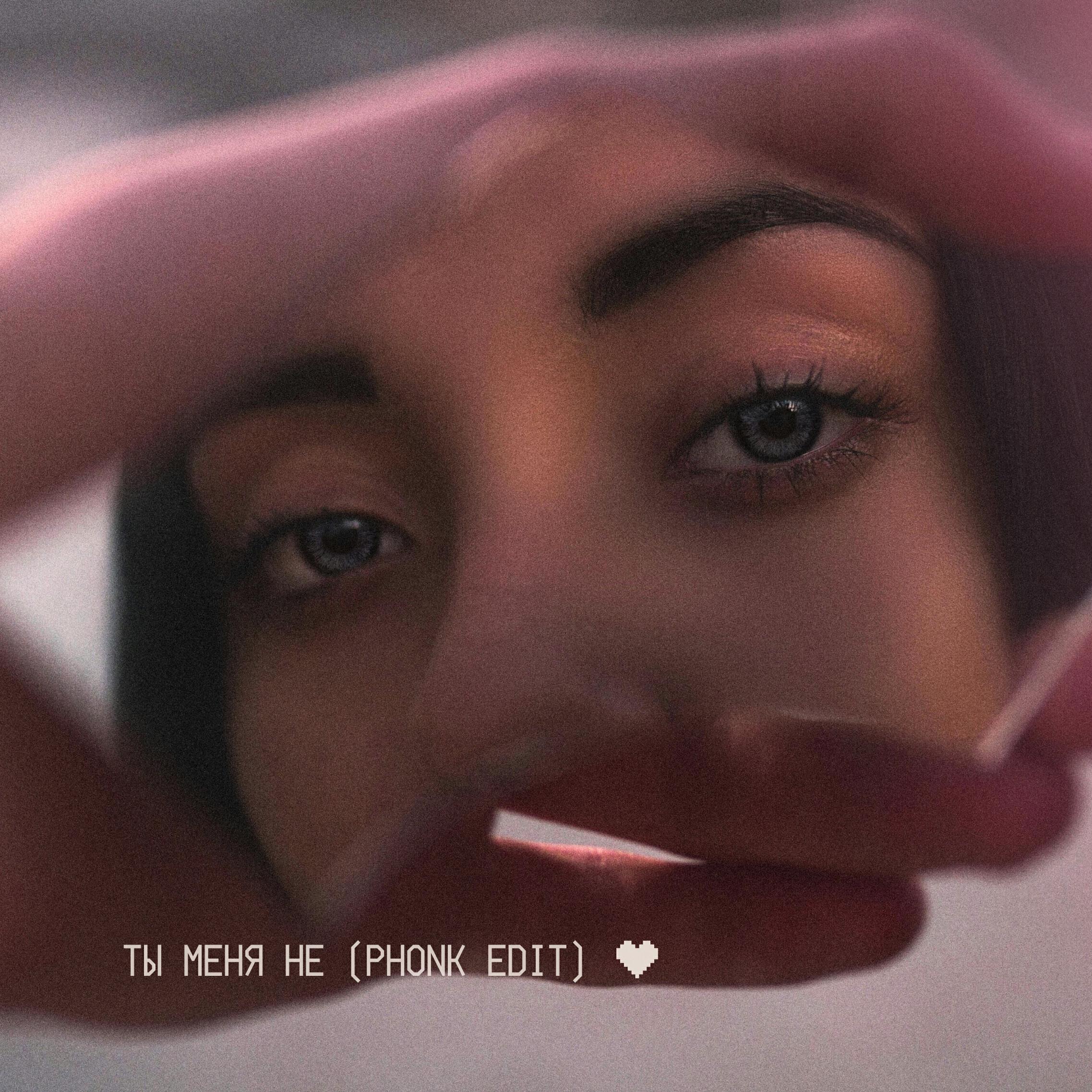 Релиз Ты меня не (Phonk Edit)