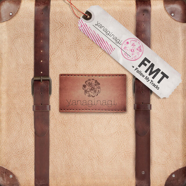 Релиз Follow My Tracks