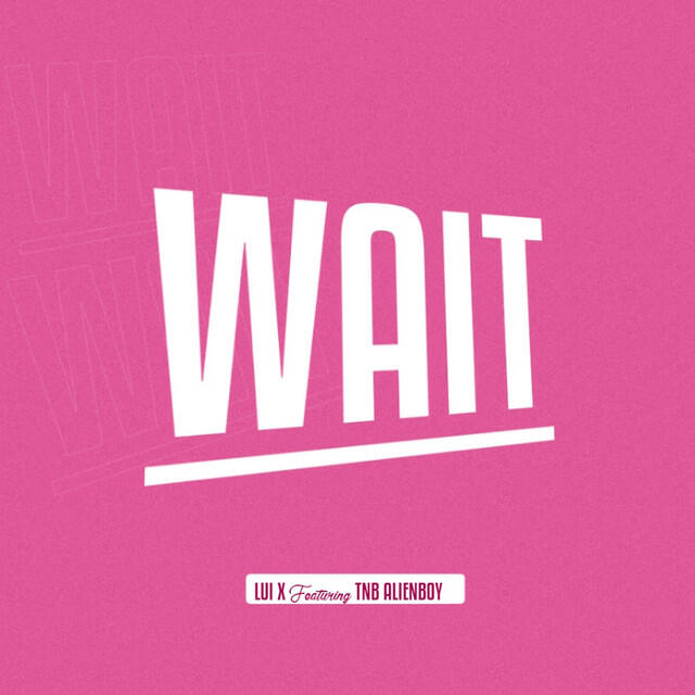 Релиз Wait