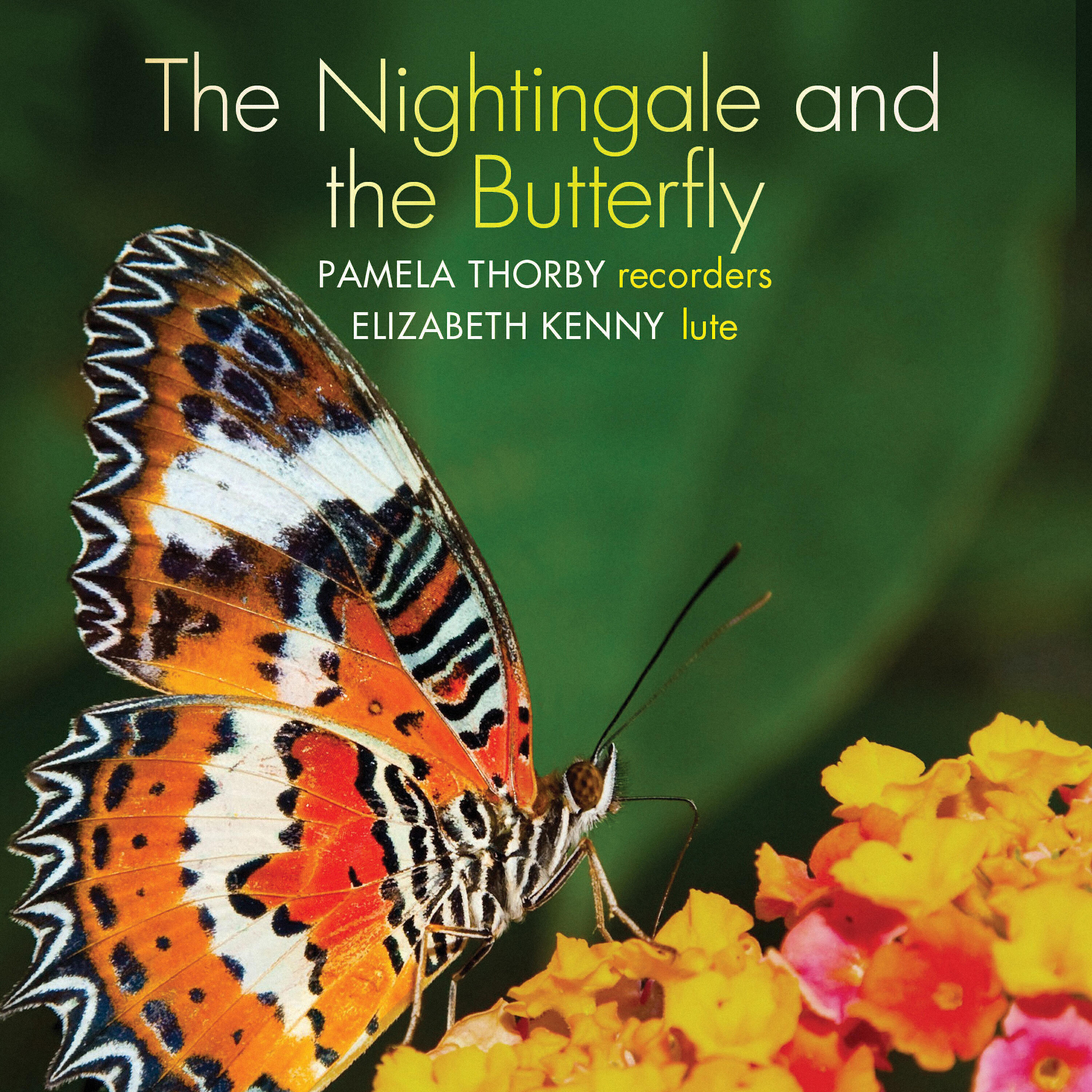 Релиз The nightingale and the butterfly