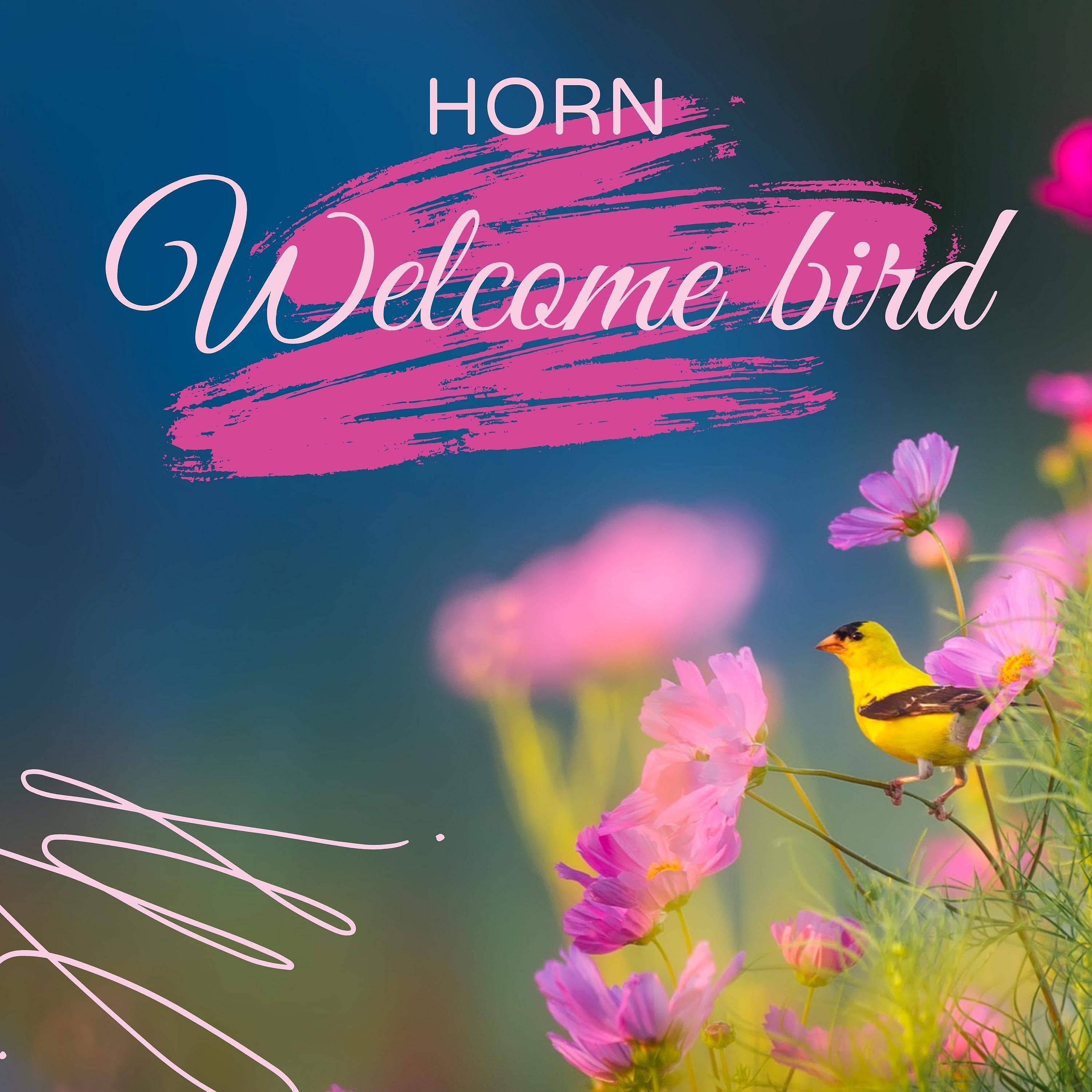 Релиз Welcome Bird