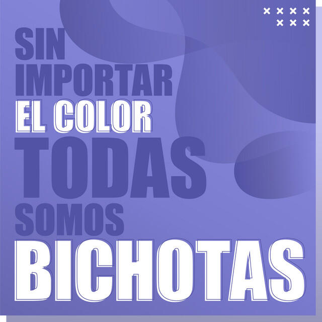 Релиз Sin importar el color todas somos bichotas