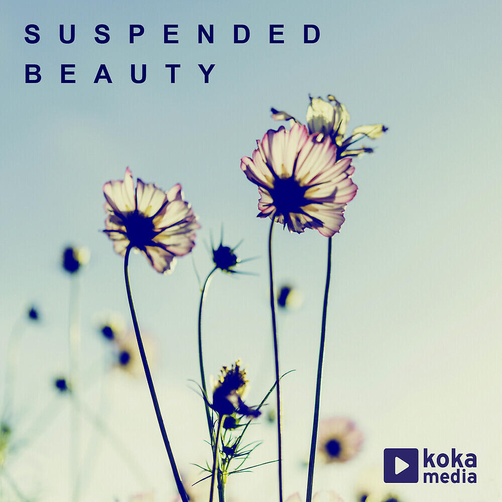 Релиз Suspended Beauty