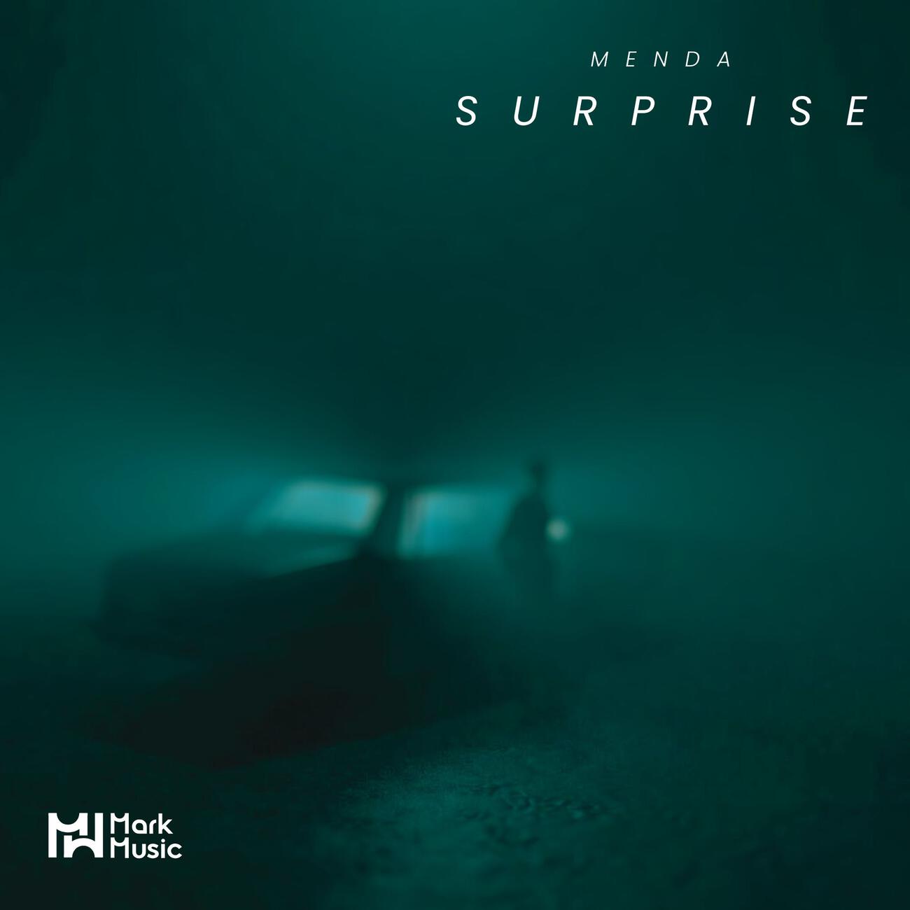 Постер альбома Surprise