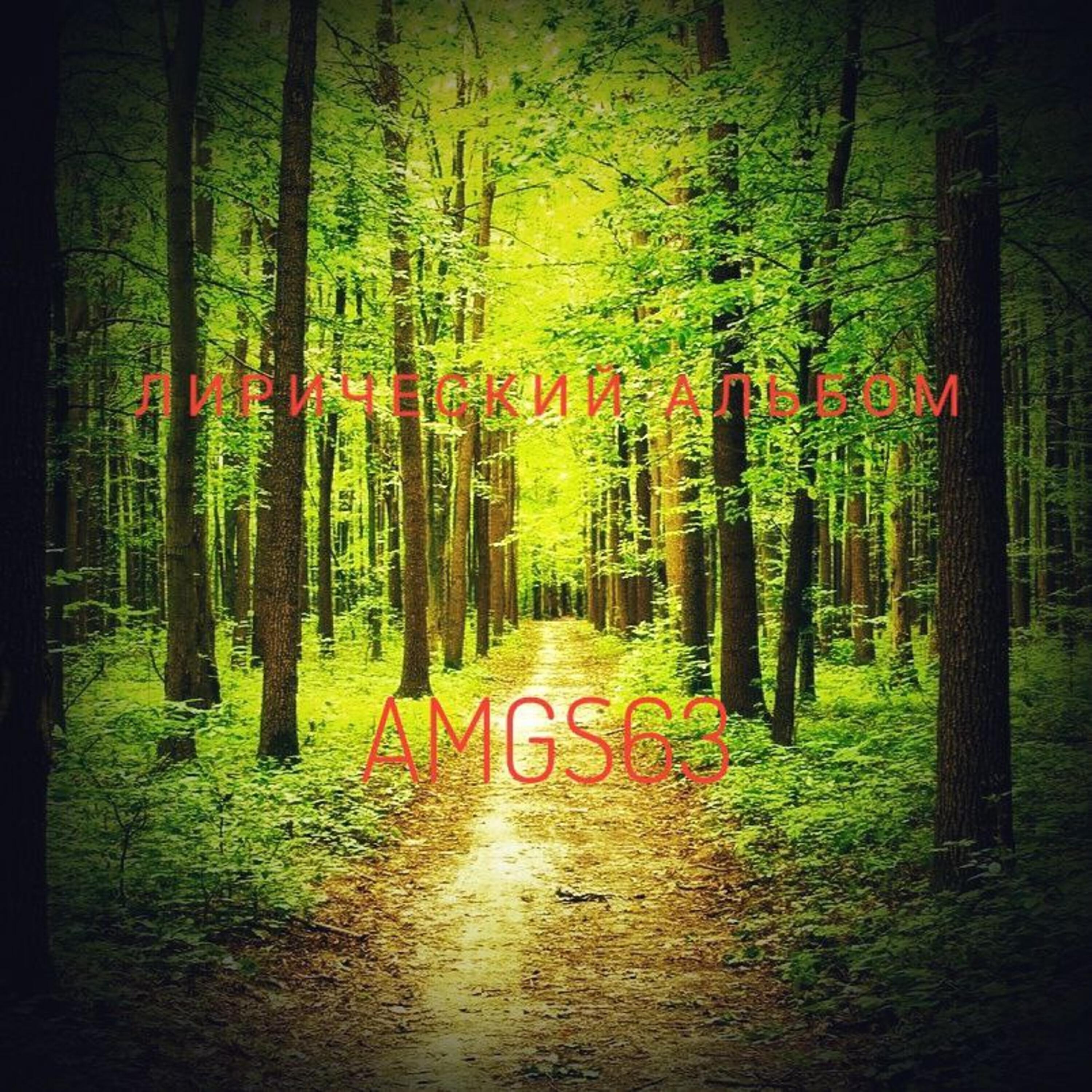 AMGS63