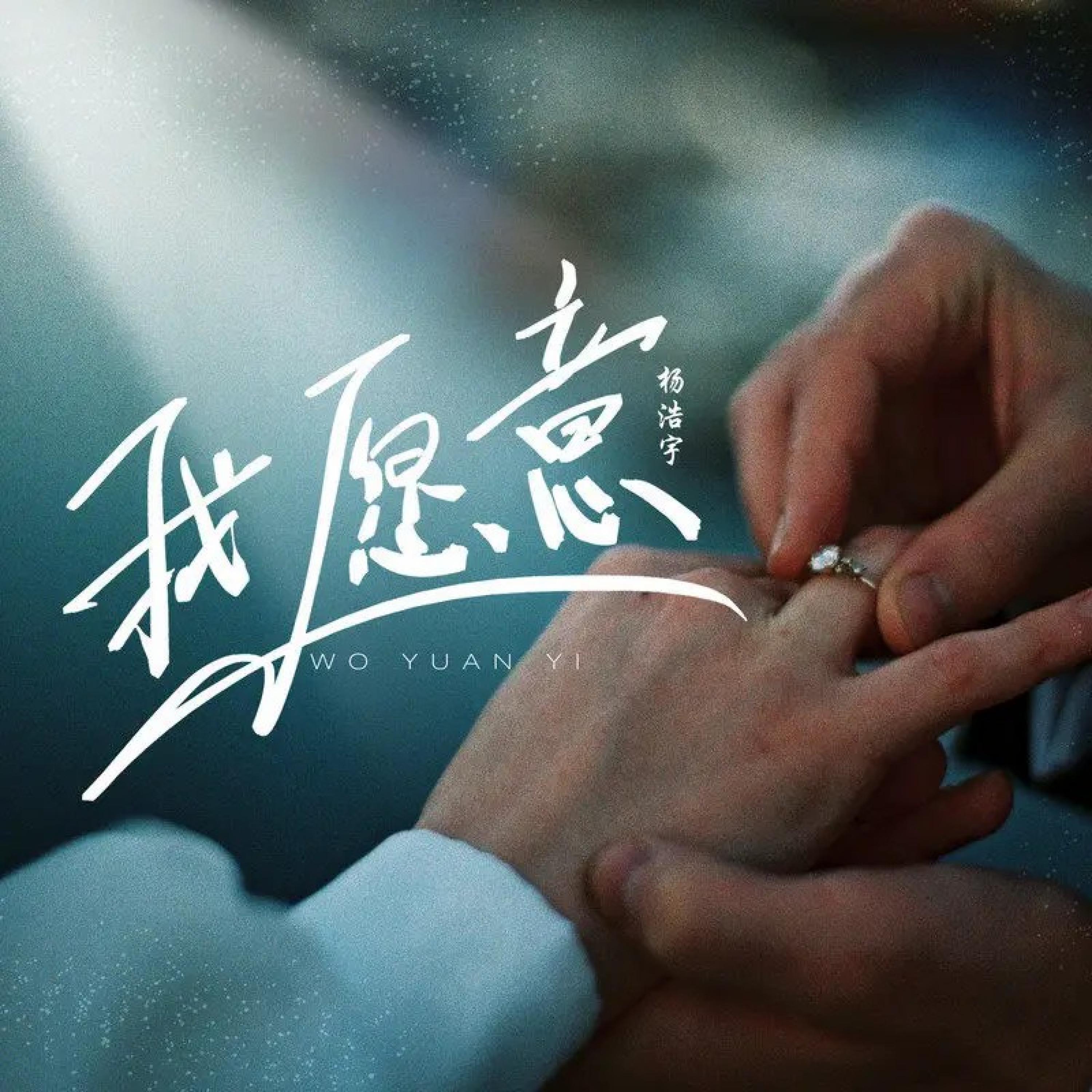 Релиз 我愿意