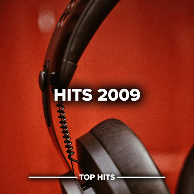 Постер альбома Hits 2009