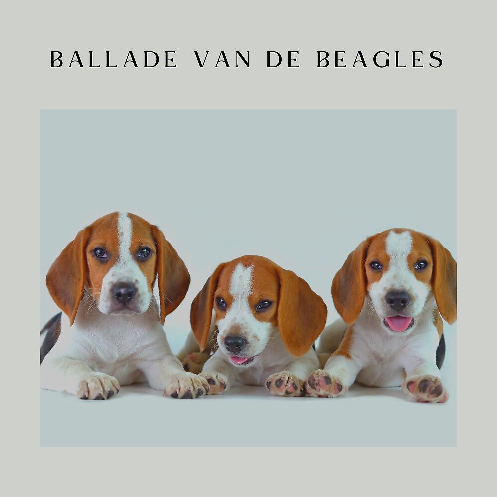 Релиз Ballade van de Beagles