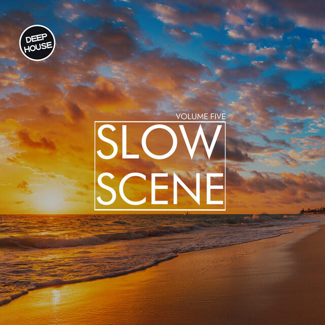 Релиз Slow Scene, Vol. 5