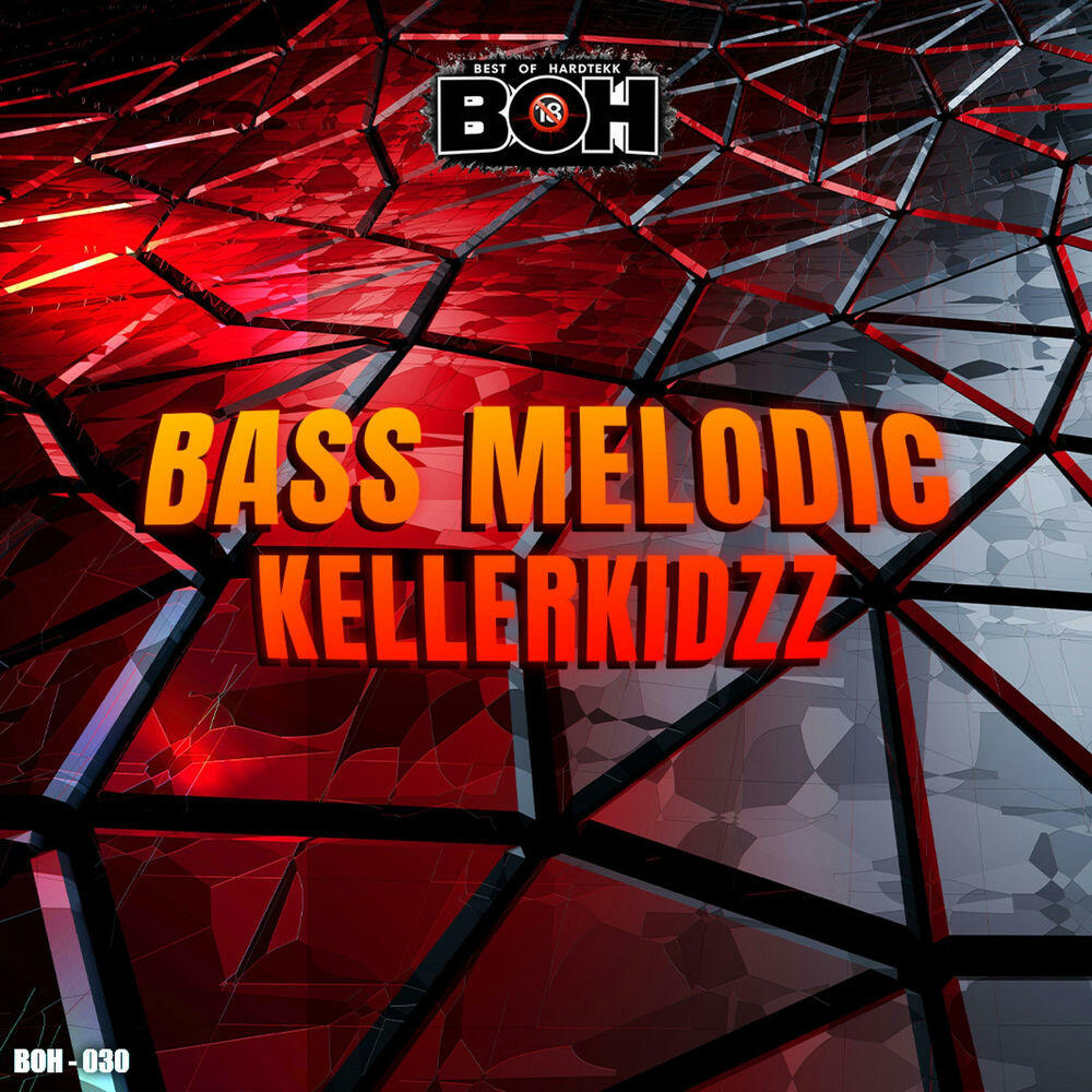 Релиз Bass Melodic