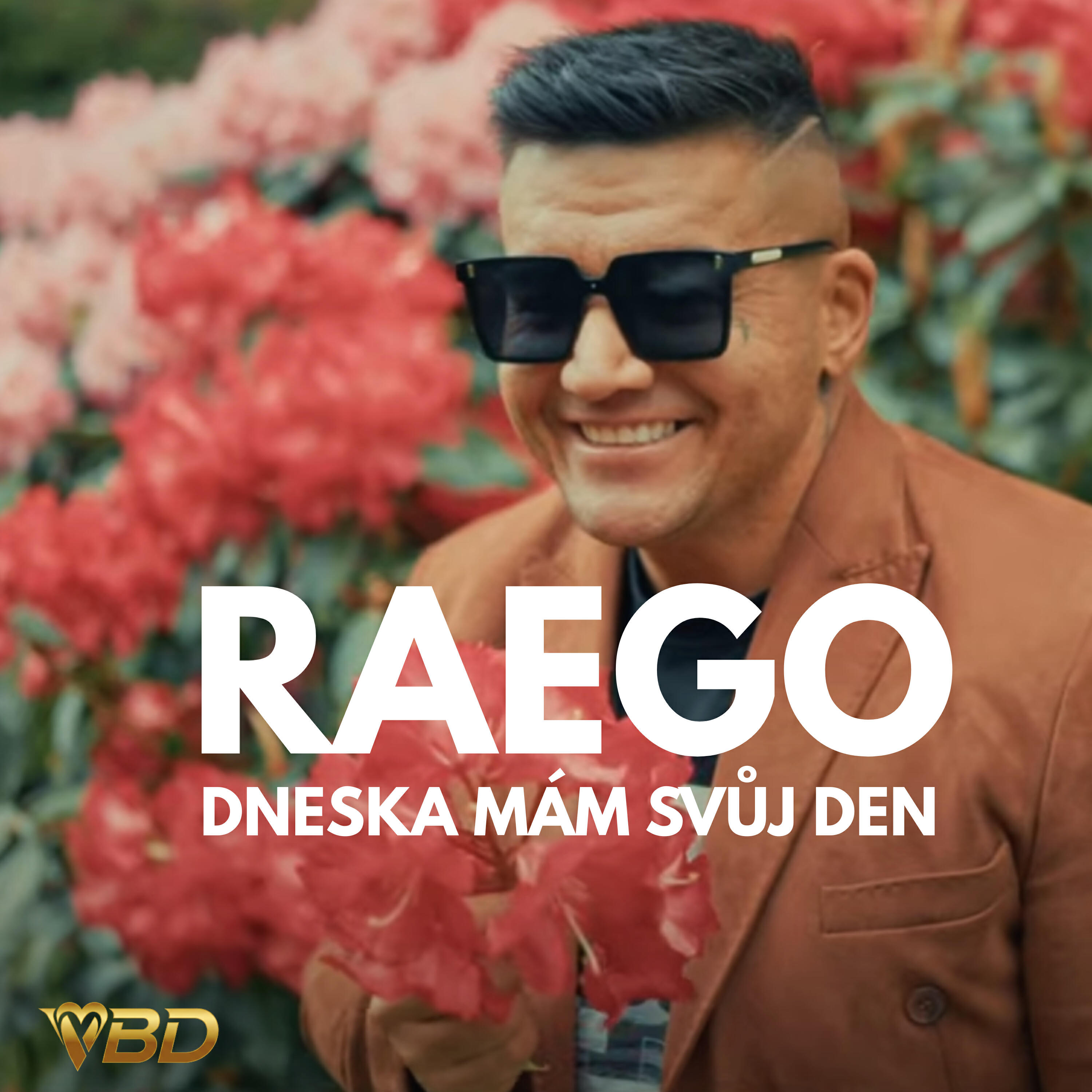 Постер альбома Dneska mám svůj den