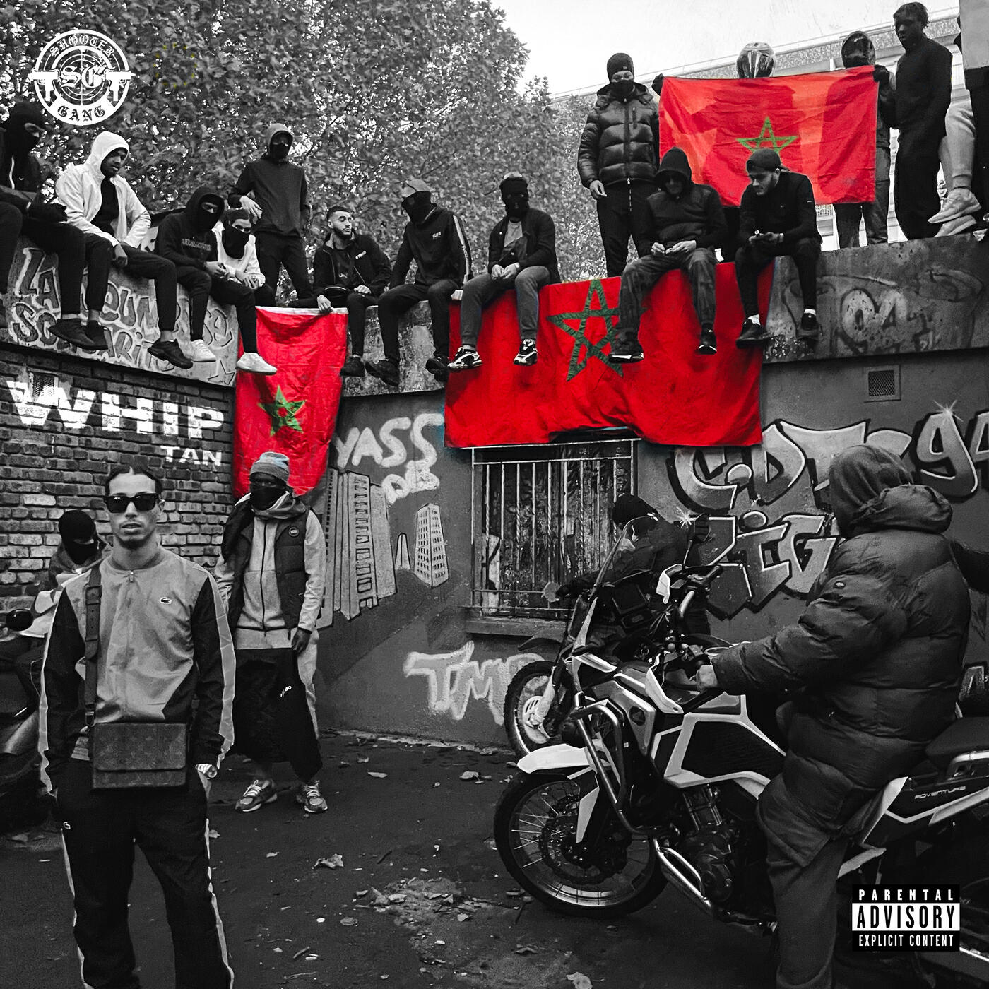 Релиз WHIP