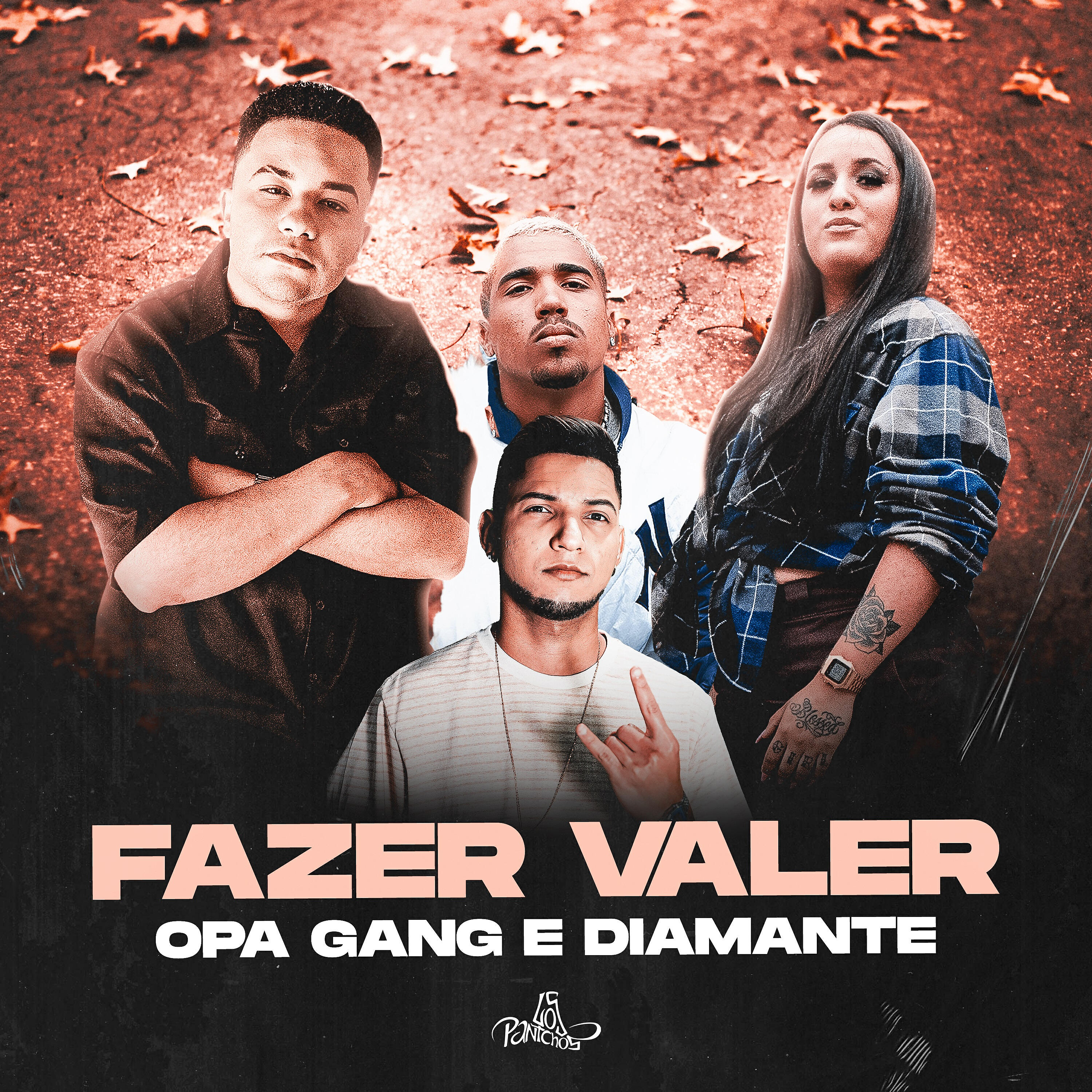 Релиз Fazer Valer