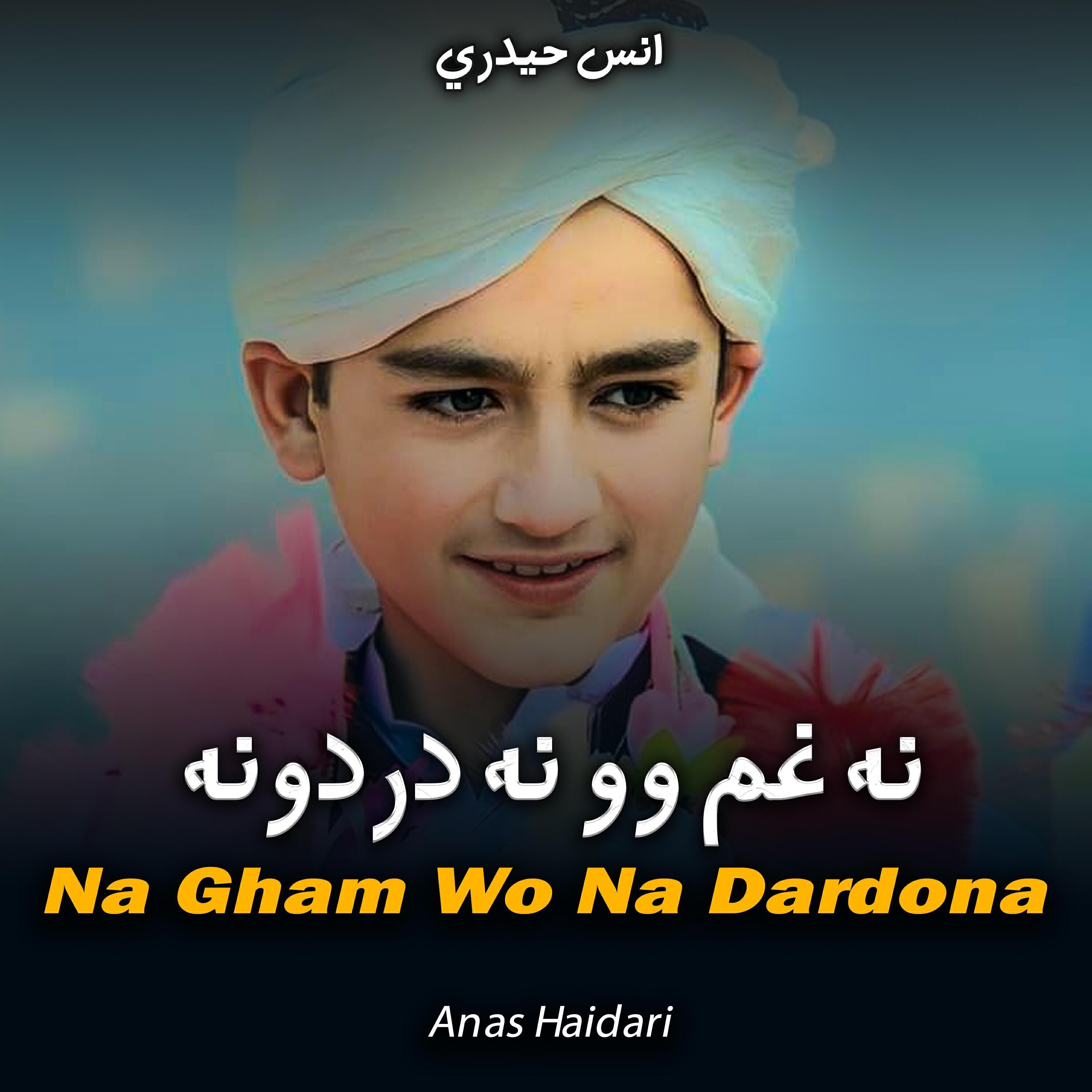 Anas Haidri