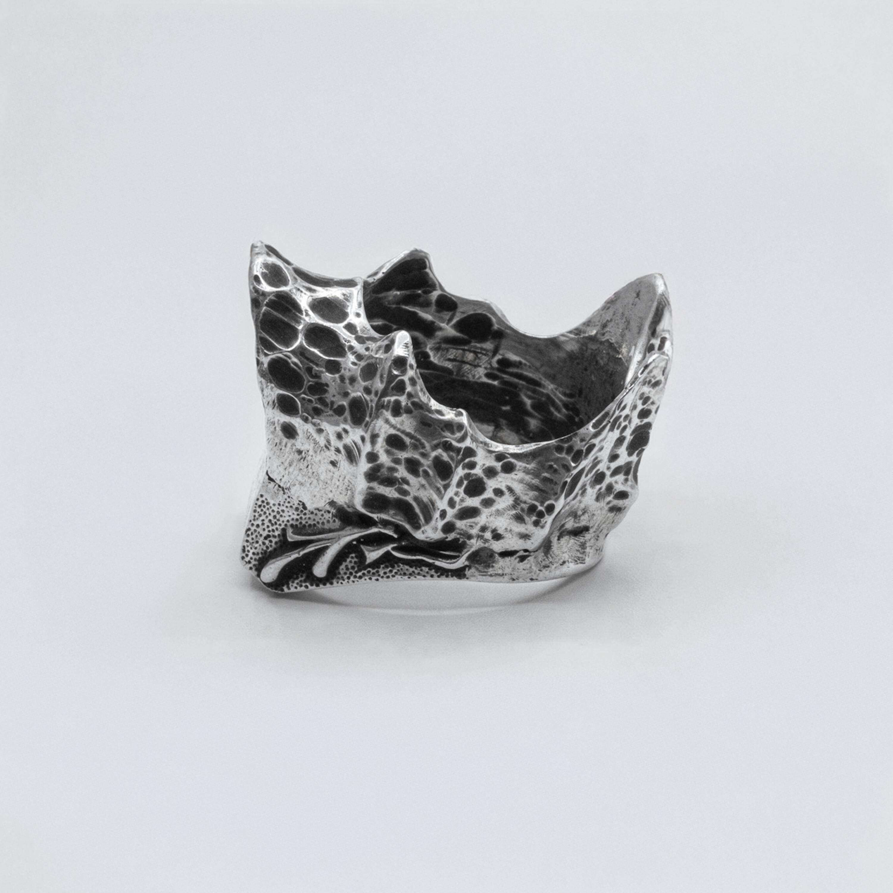 Релиз Silent Crown