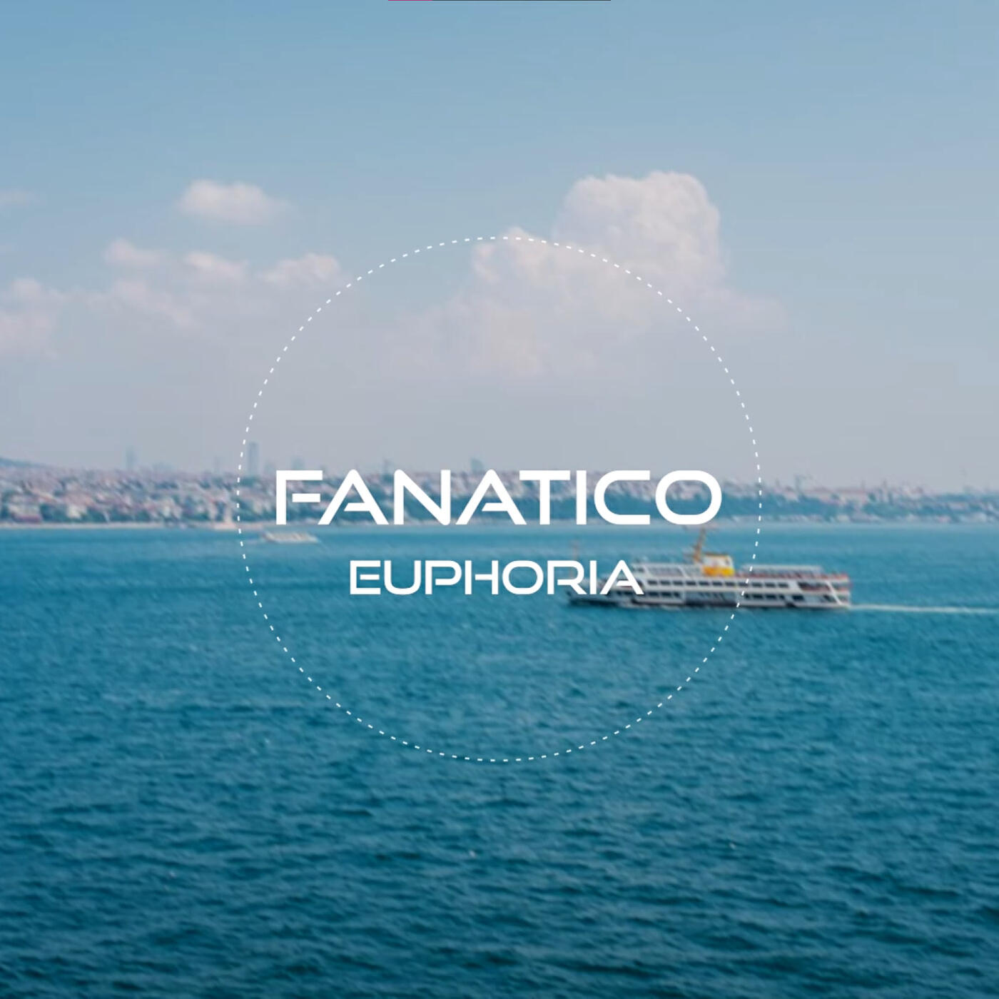 Релиз Euphoria