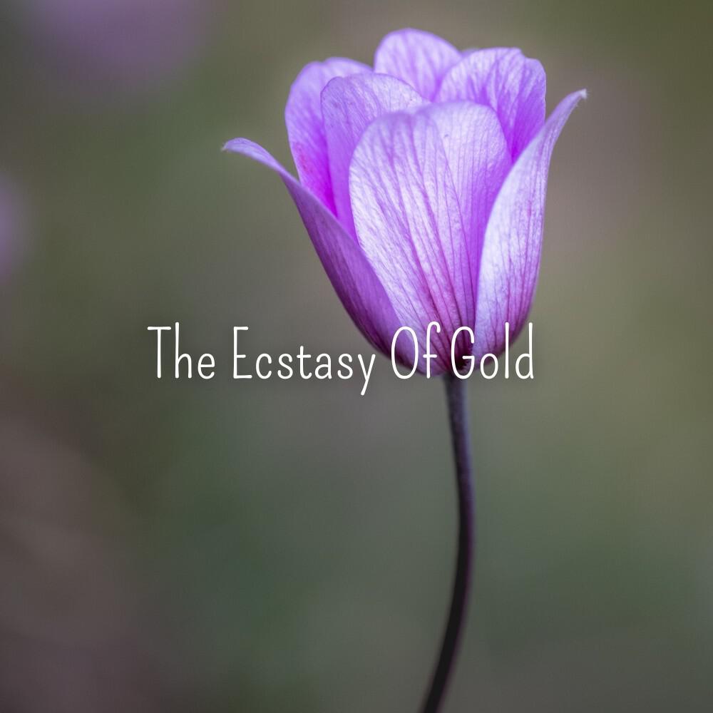 Релиз The Ecstasy of Gold