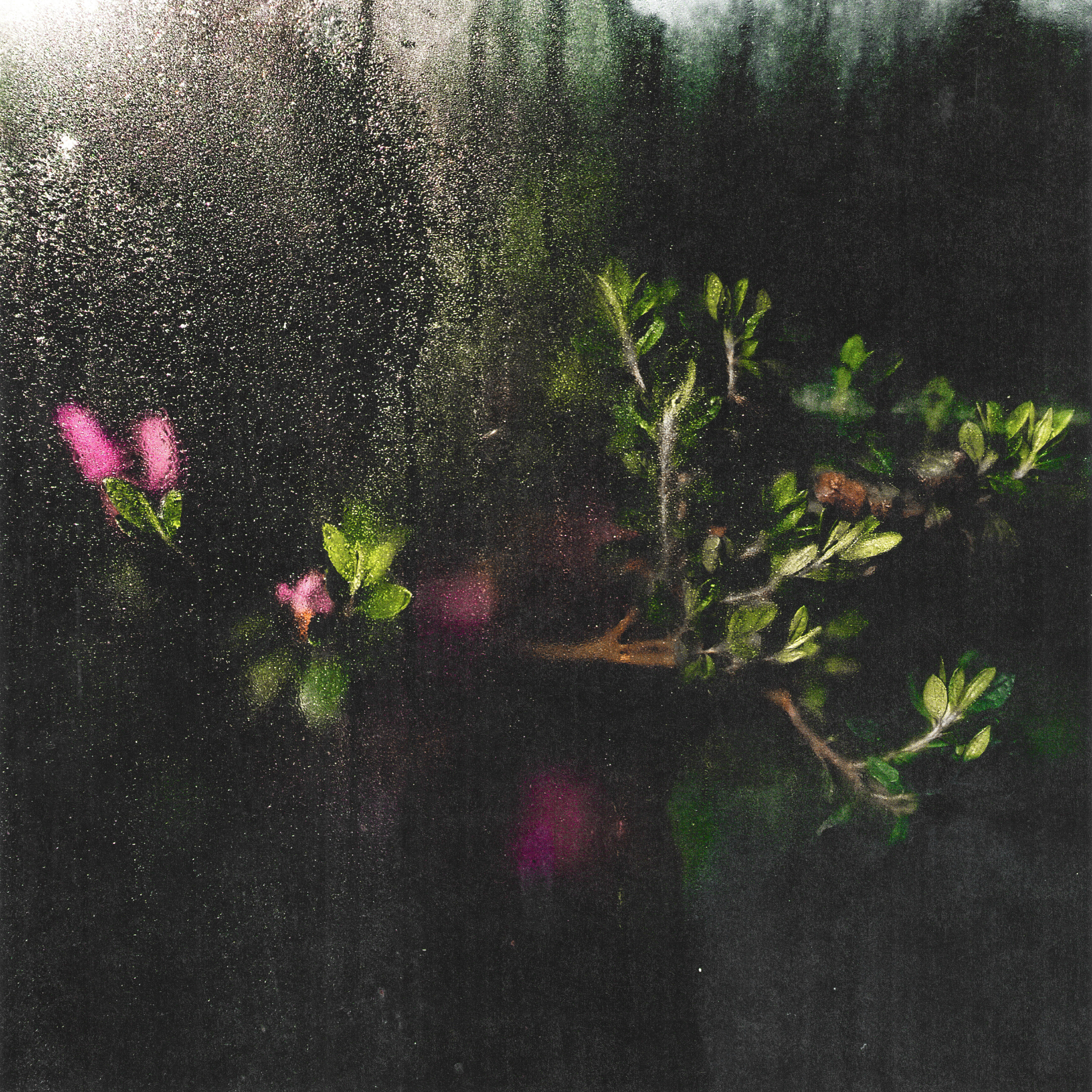 Релиз Five Piano Tapes