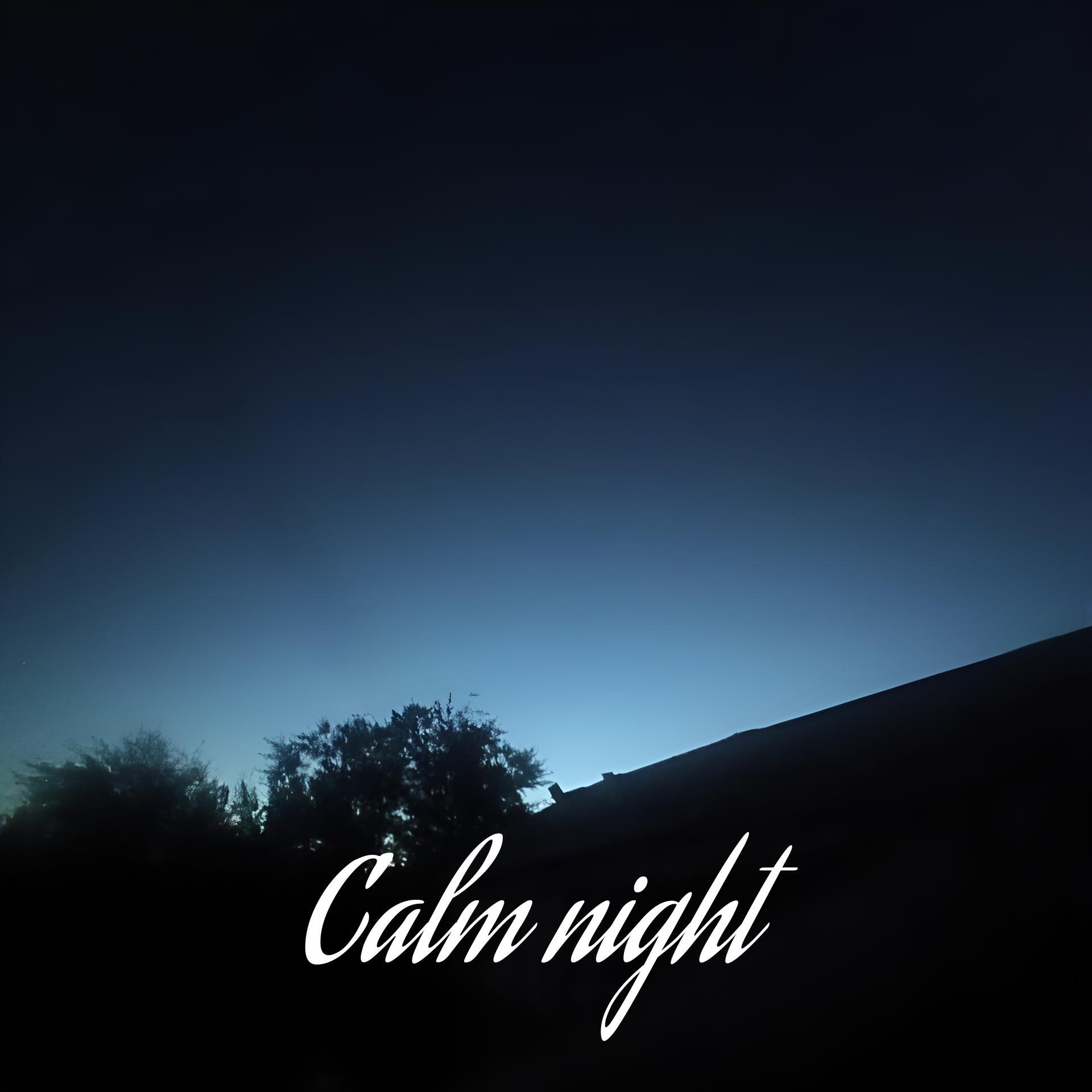 Релиз Calm Night