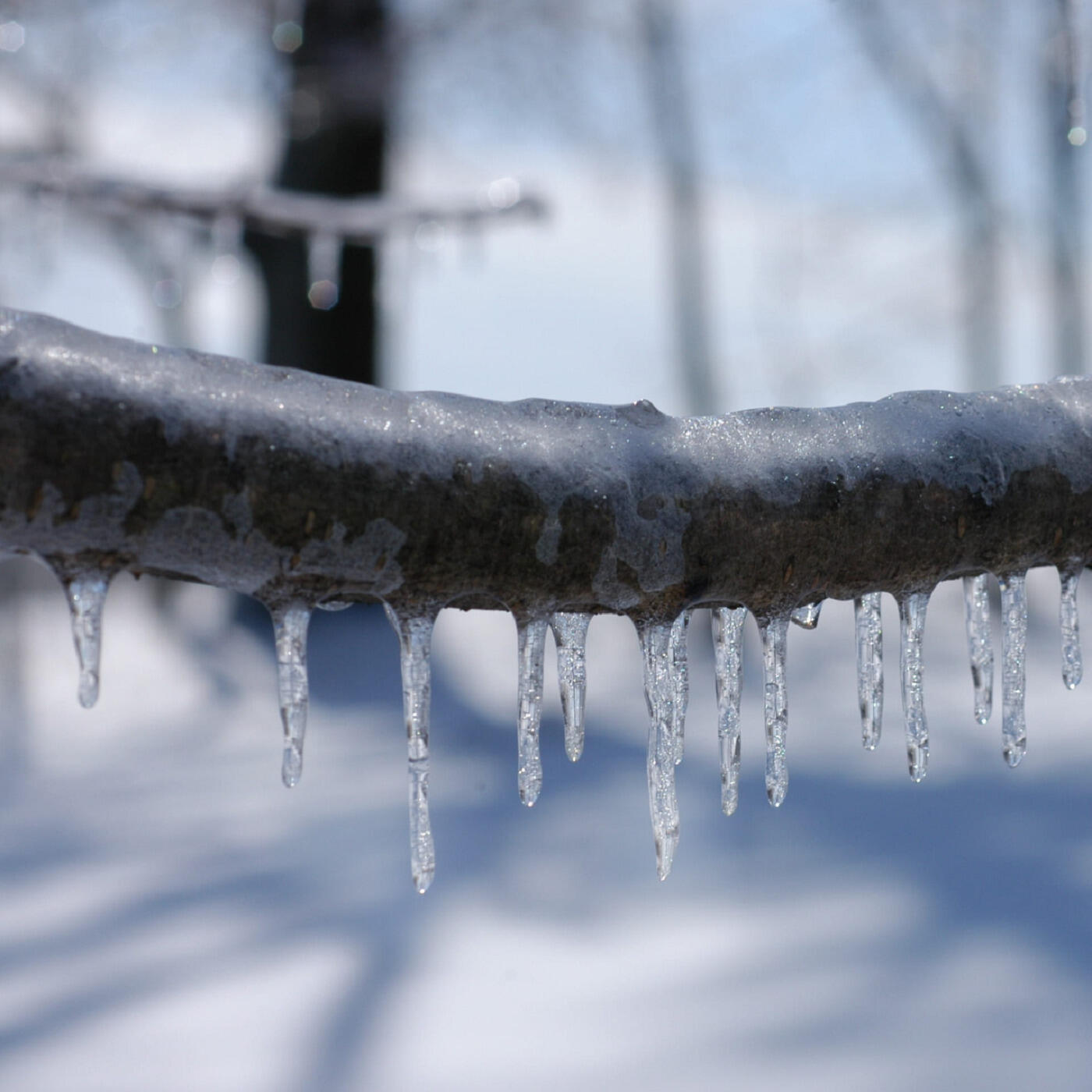 Релиз Falling Icicles