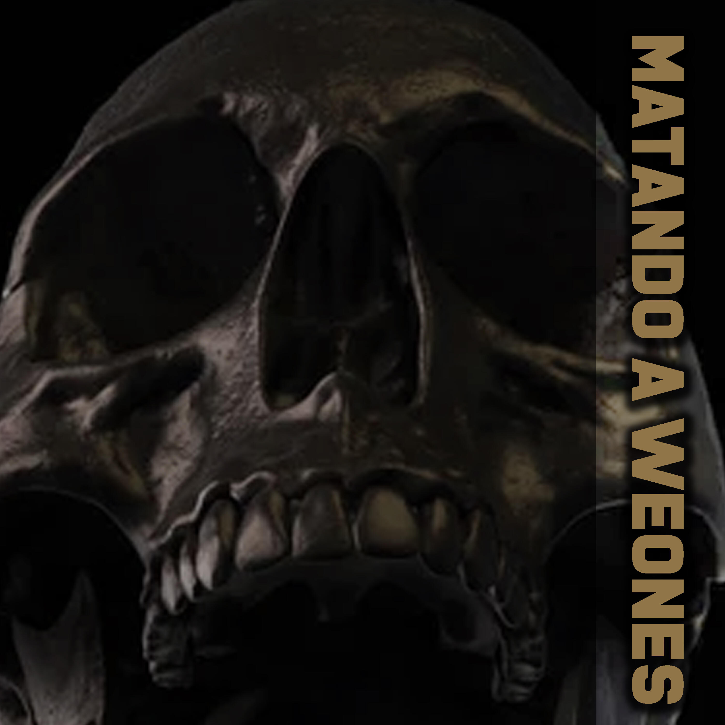 Релиз Matando a Weones