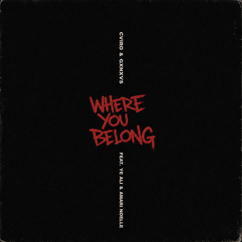 Релиз Where You Belong