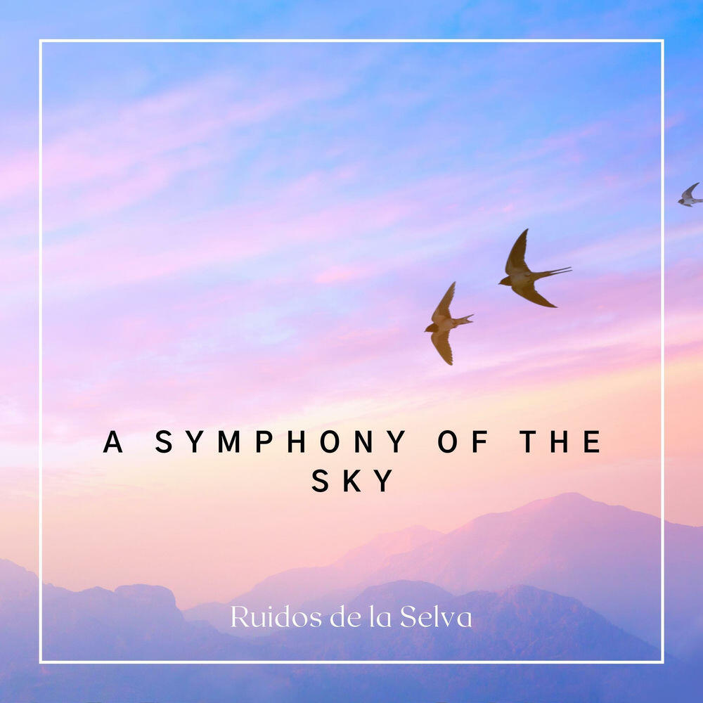 Релиз A Symphony of the Sky