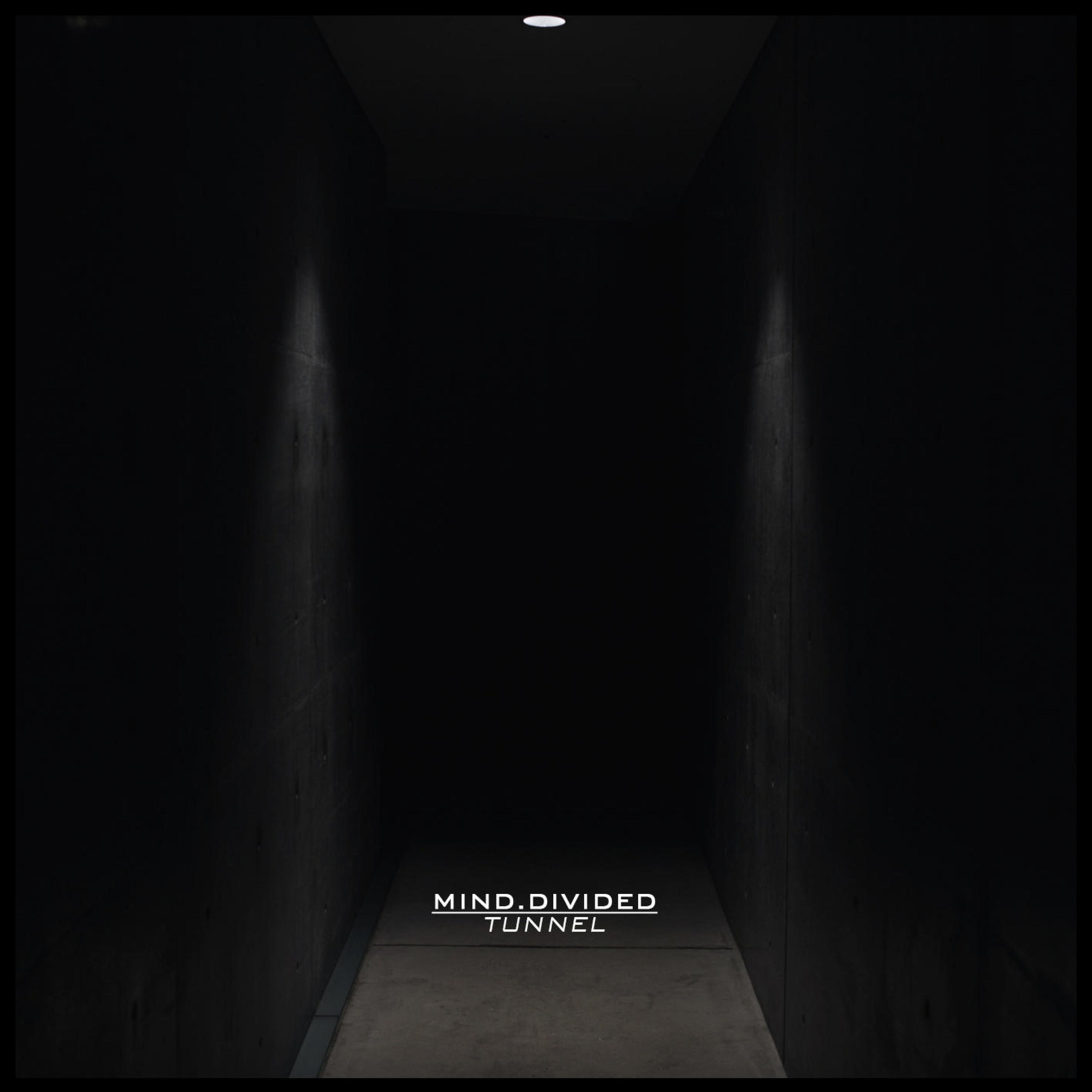 Релиз Tunnel