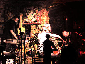 Blind Cave Salamander