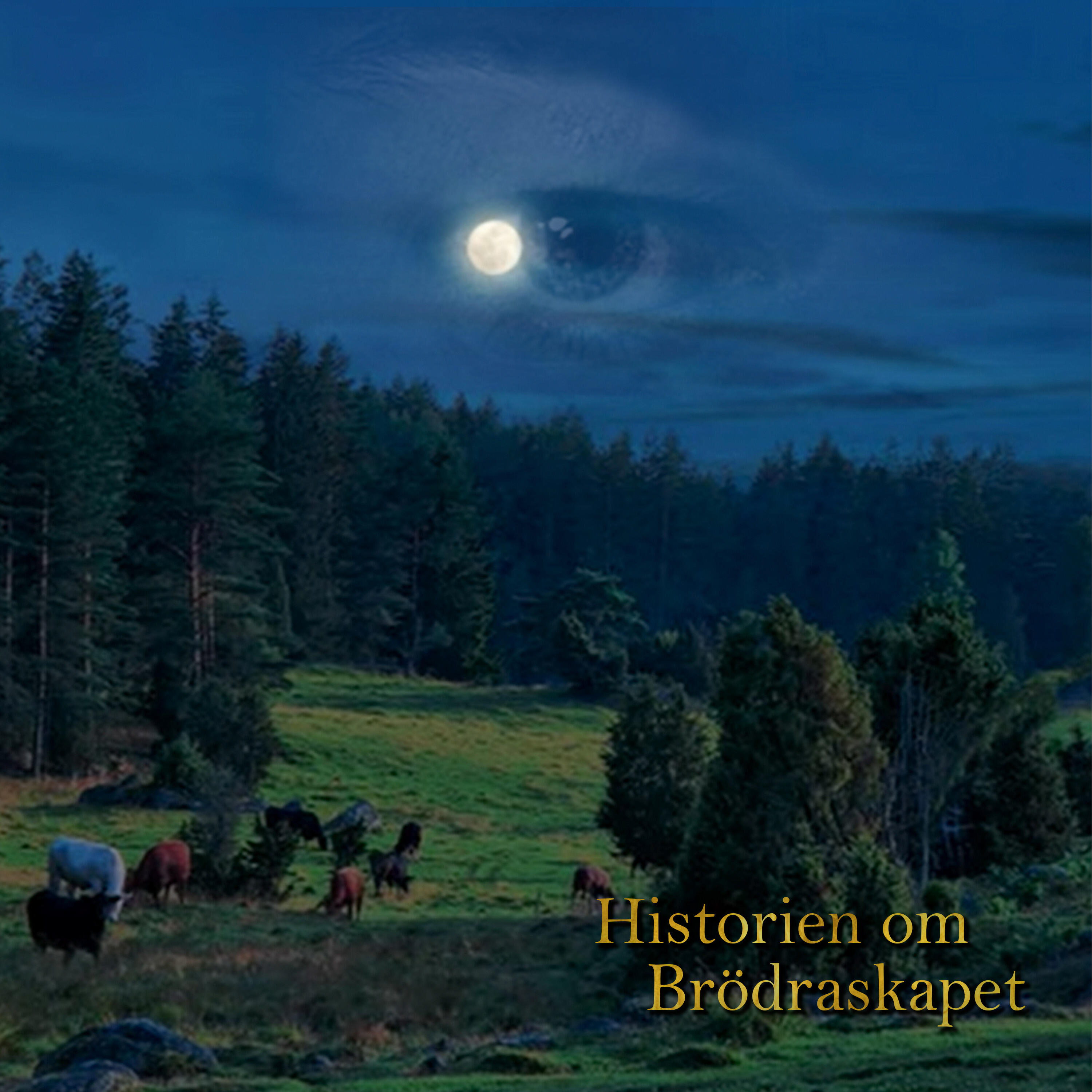 Íkorni